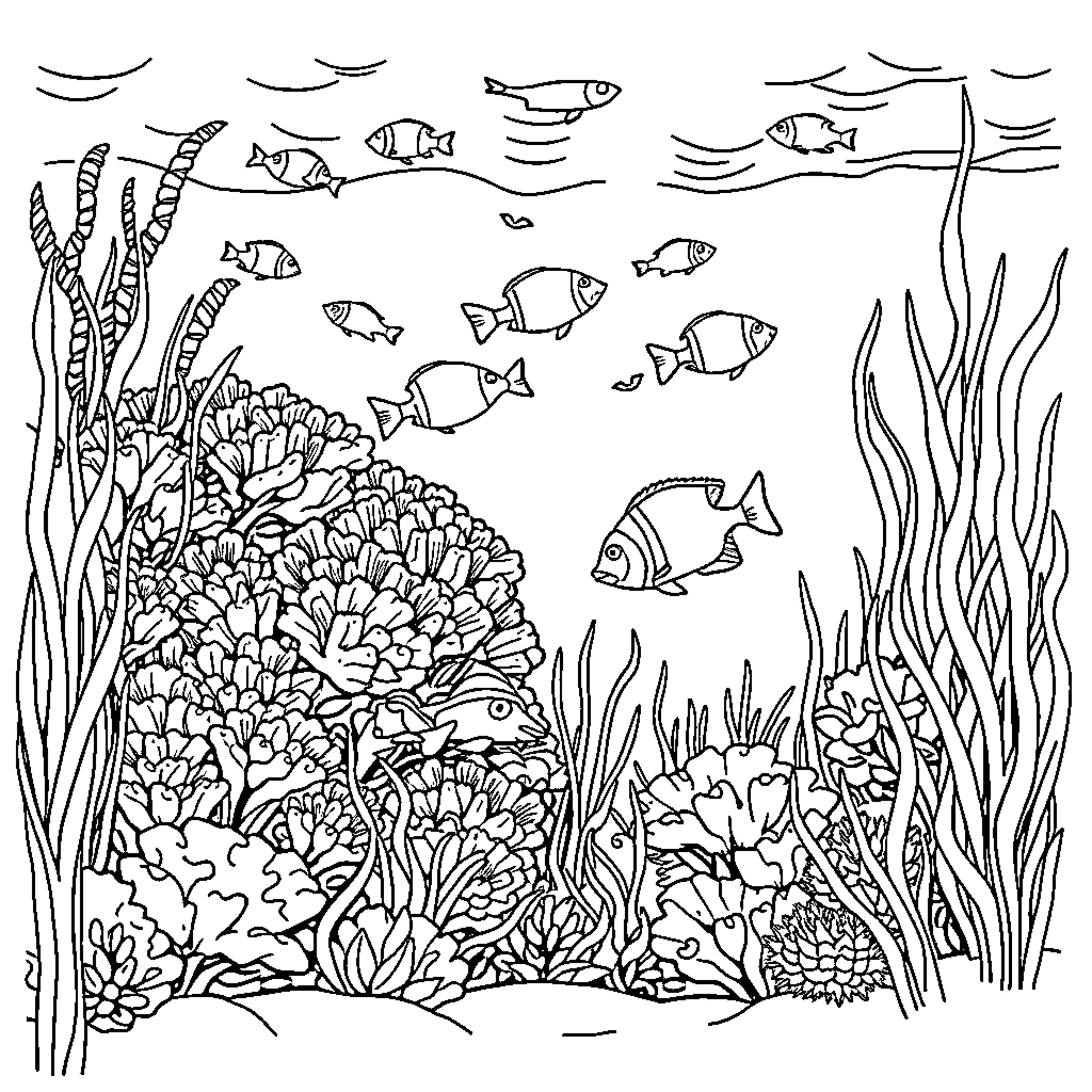 Coral reef teeming with marine life Coloring Page (free black-and-white line drawing printable PDF for all, from beginners to advanced learners, including children, teens, adults, and seniors)