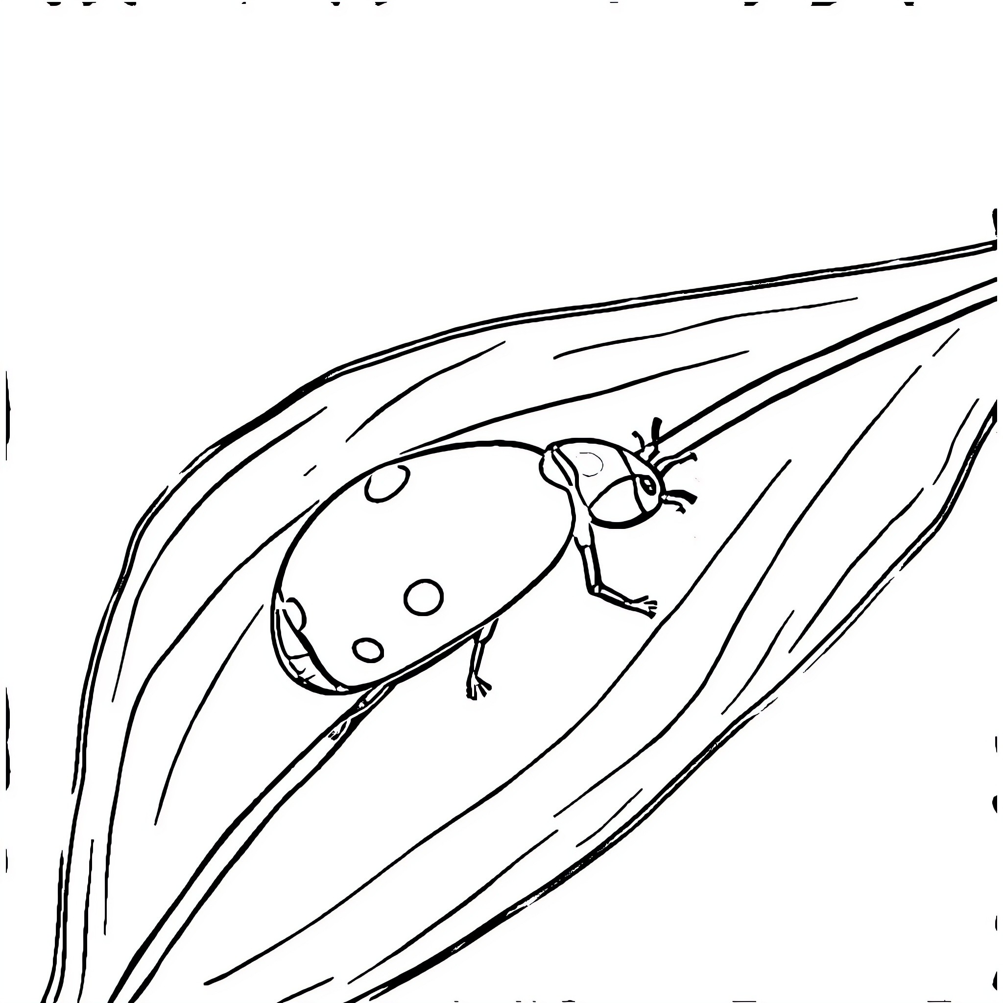 Ladybug exploring the grass Coloring Page (free black-and-white line drawing printable PDF for all, from beginners to advanced learners, including children, teens, adults, and seniors)