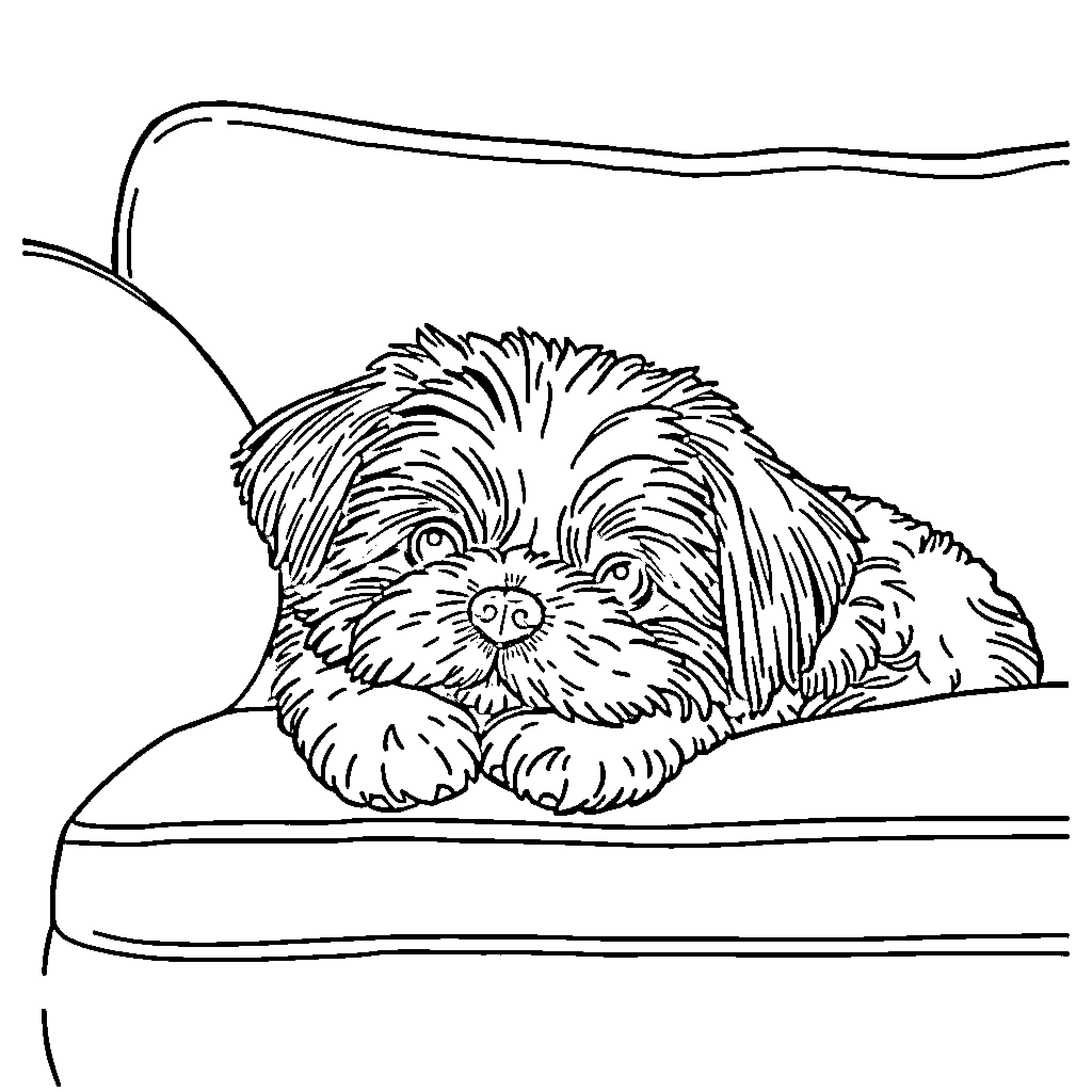 Shih Tzu resting peacefully on a cushion Coloring Page (free black-and-white line drawing printable PDF for all, from beginners to advanced learners, including children, teens, adults, and seniors)