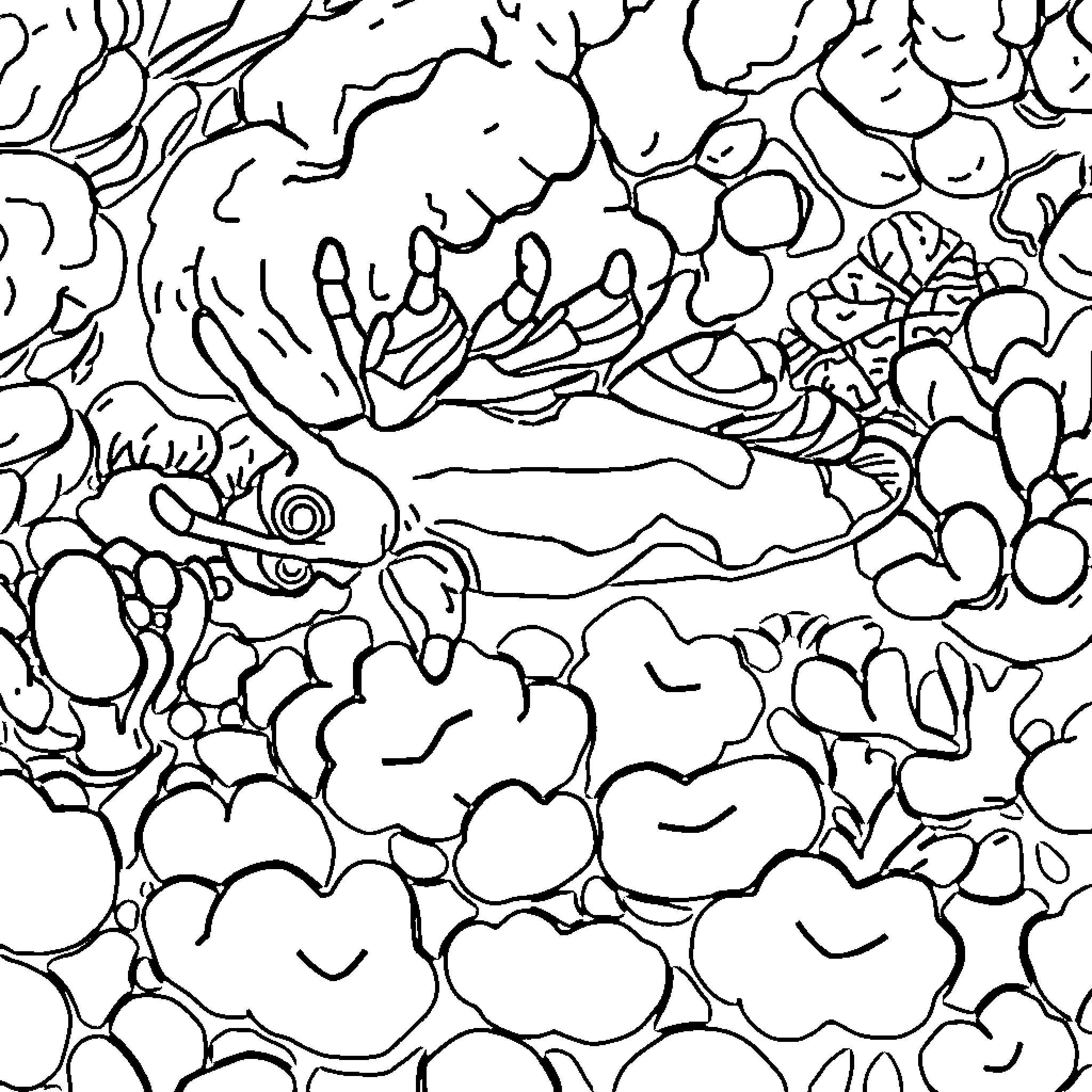 Nudibranch exploring vibrant underwater scene Coloring Page (free black-and-white line drawing printable PDF for all, from beginners to advanced learners, including children, teens, adults, and seniors)