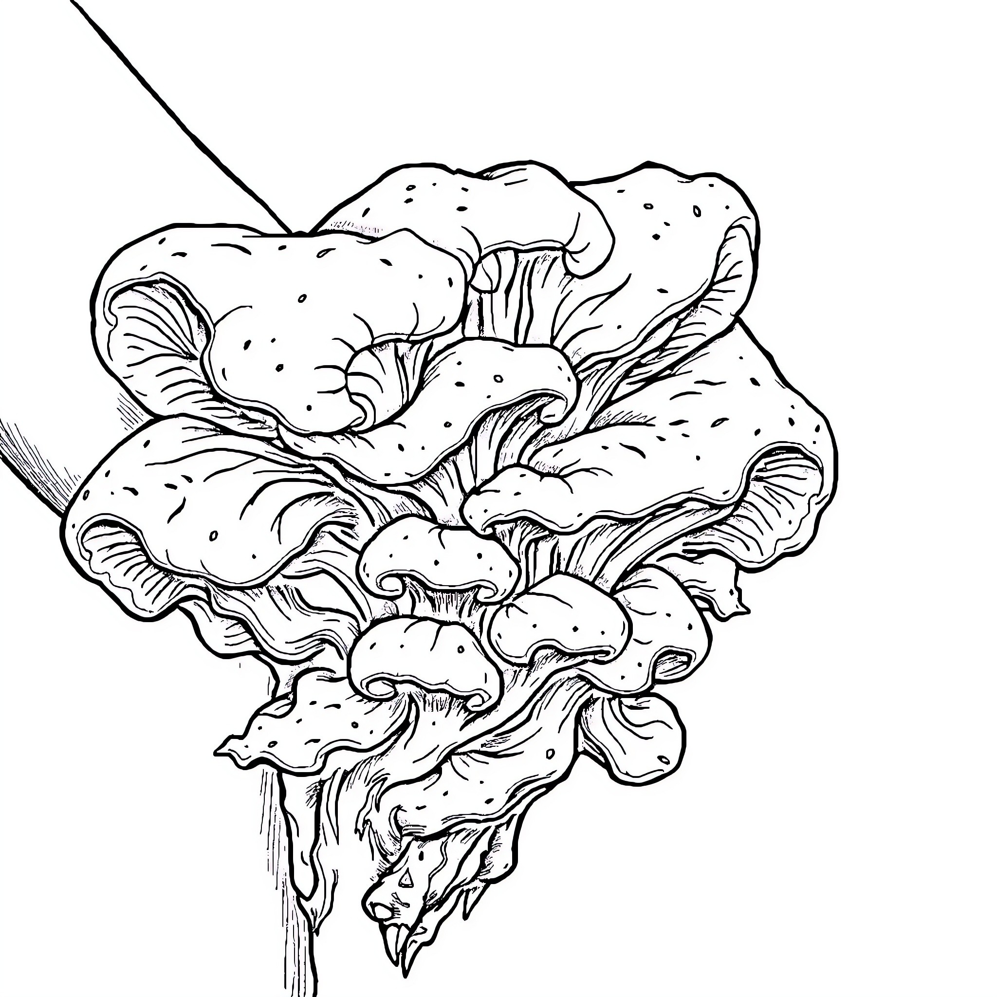 Fungus cluster growing in the wild Coloring Page (free black-and-white line drawing printable PDF for all, from beginners to advanced learners, including children, teens, adults, and seniors)