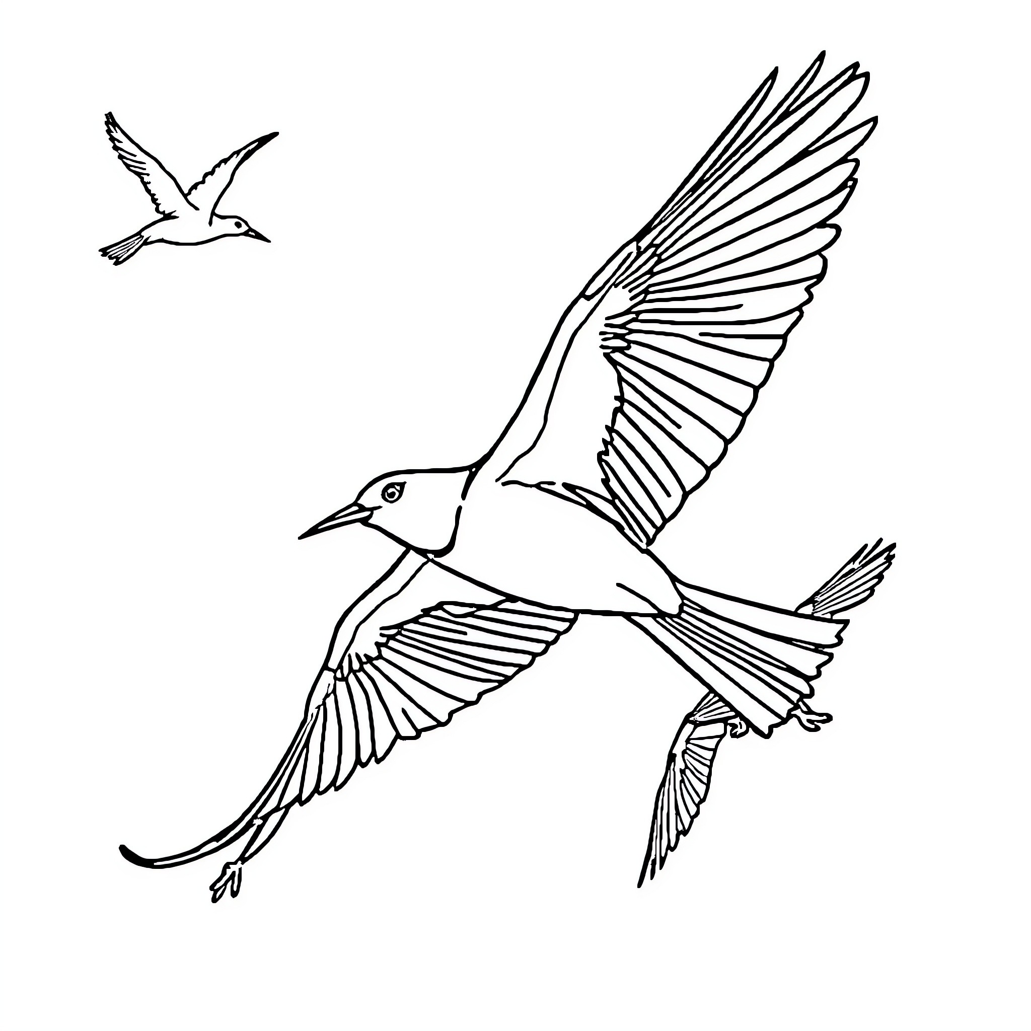 Birds soaring gracefully through the sky Coloring Page (free black-and-white line drawing printable PDF for all, from beginners to advanced learners, including children, teens, adults, and seniors)