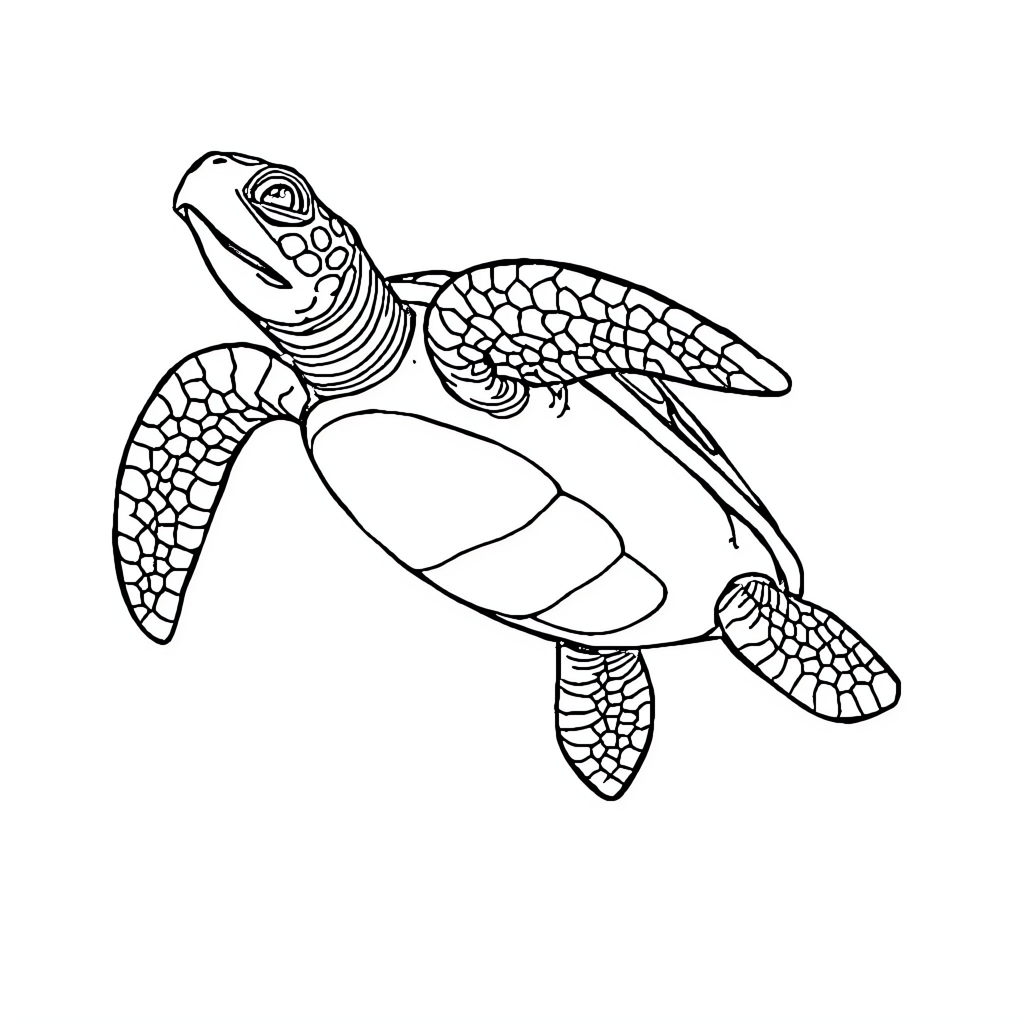 Turtle swimming gracefully in the water Coloring Page (free black-and-white line drawing printable PDF for all, from beginners to advanced learners, including children, teens, adults, and seniors)