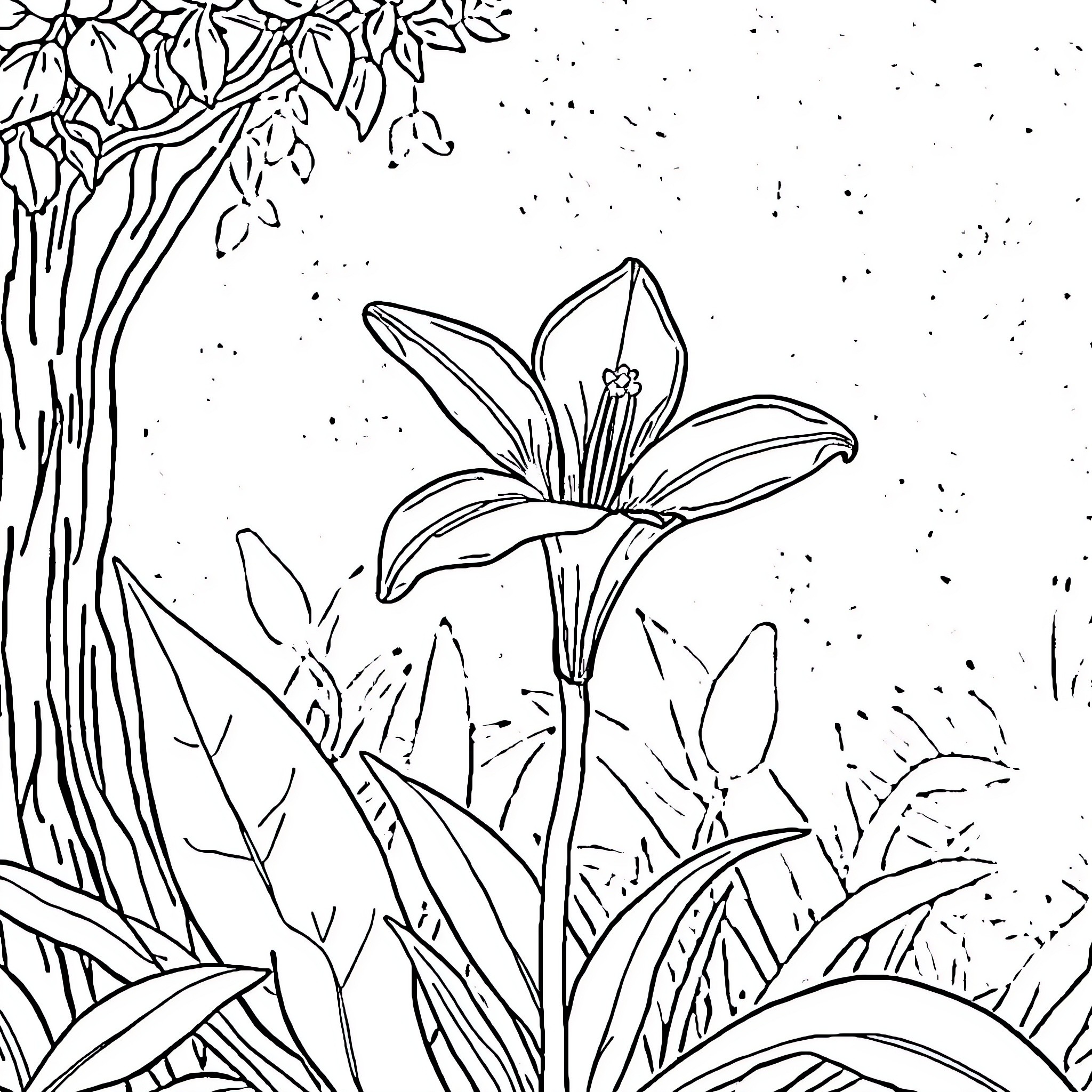 Cayenne Flower in the Lush Garden Coloring Page (free black-and-white line drawing printable PDF for all, from beginners to advanced learners, including children, teens, adults, and seniors)