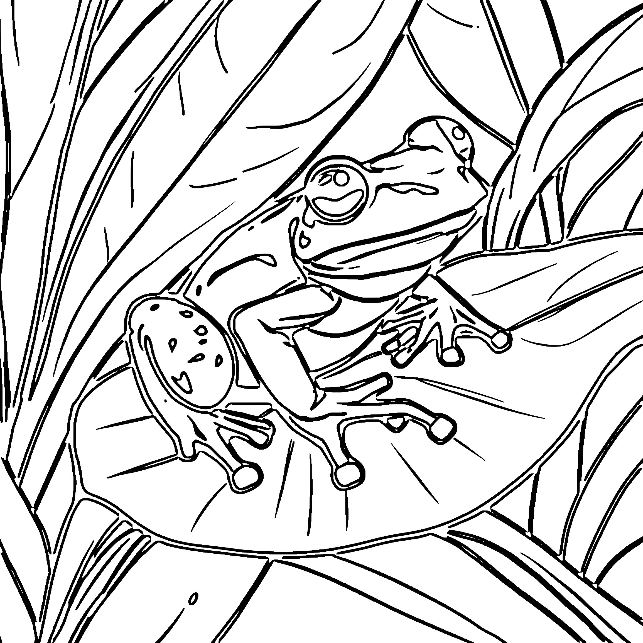Frog resting on a leaf in the wild Coloring Page (free black-and-white line drawing printable PDF for all, from beginners to advanced learners, including children, teens, adults, and seniors)
