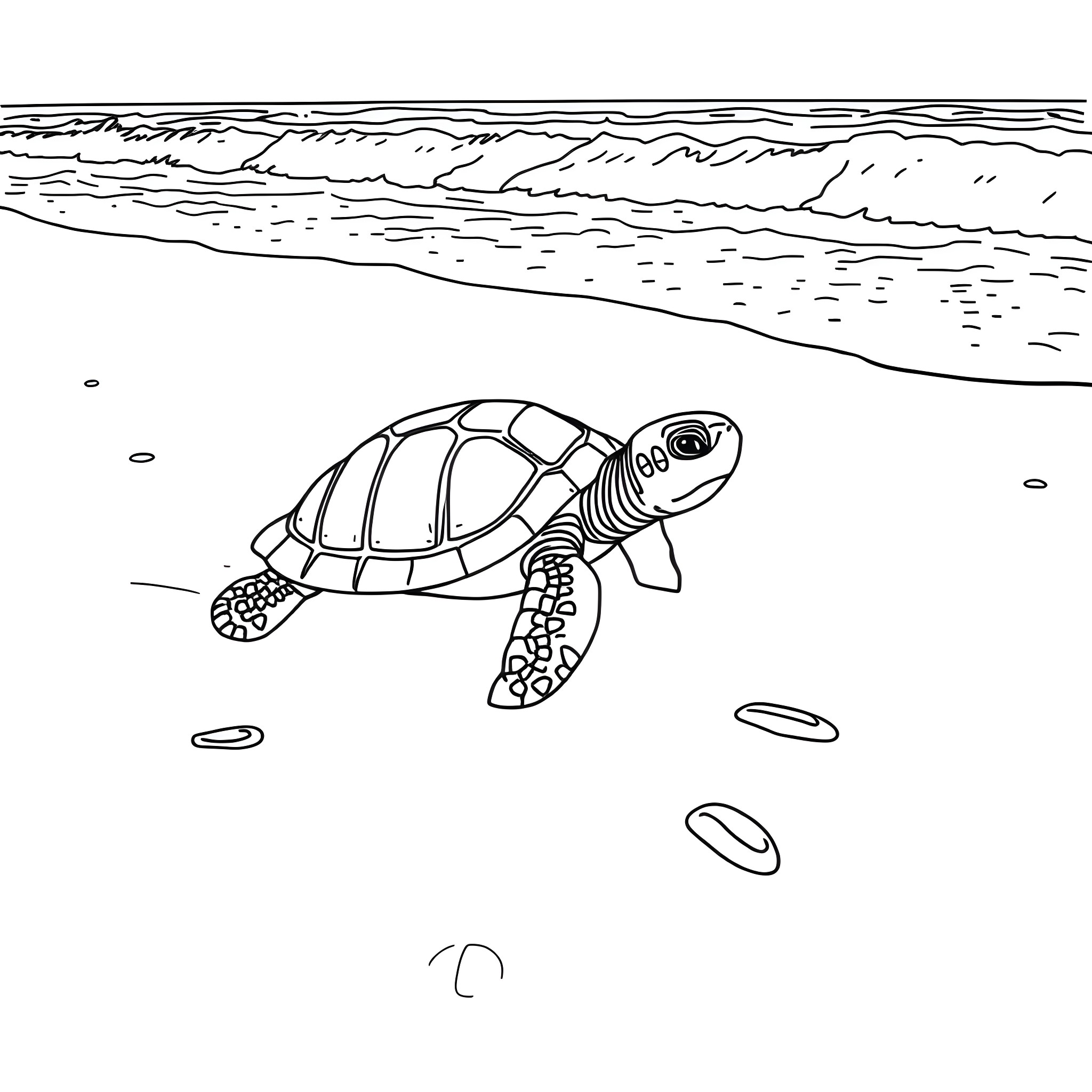 Turtle swimming on the beach Coloring Page (free black-and-white line drawing printable PDF for all, from beginners to advanced learners, including children, teens, adults, and seniors)
