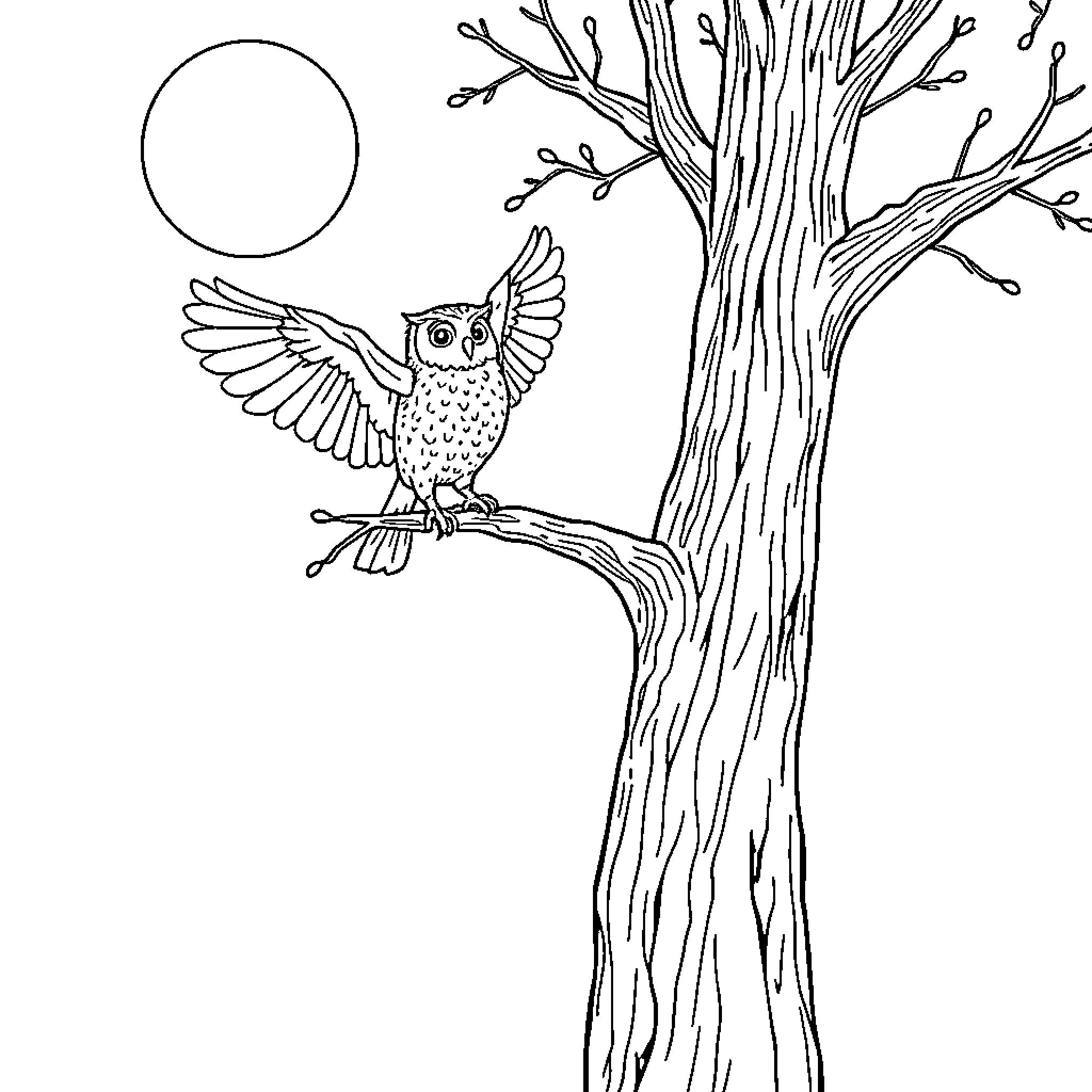 Owl perched on a tree branch under the moon Coloring Page (free black-and-white line drawing printable PDF for all, from beginners to advanced learners, including children, teens, adults, and seniors)