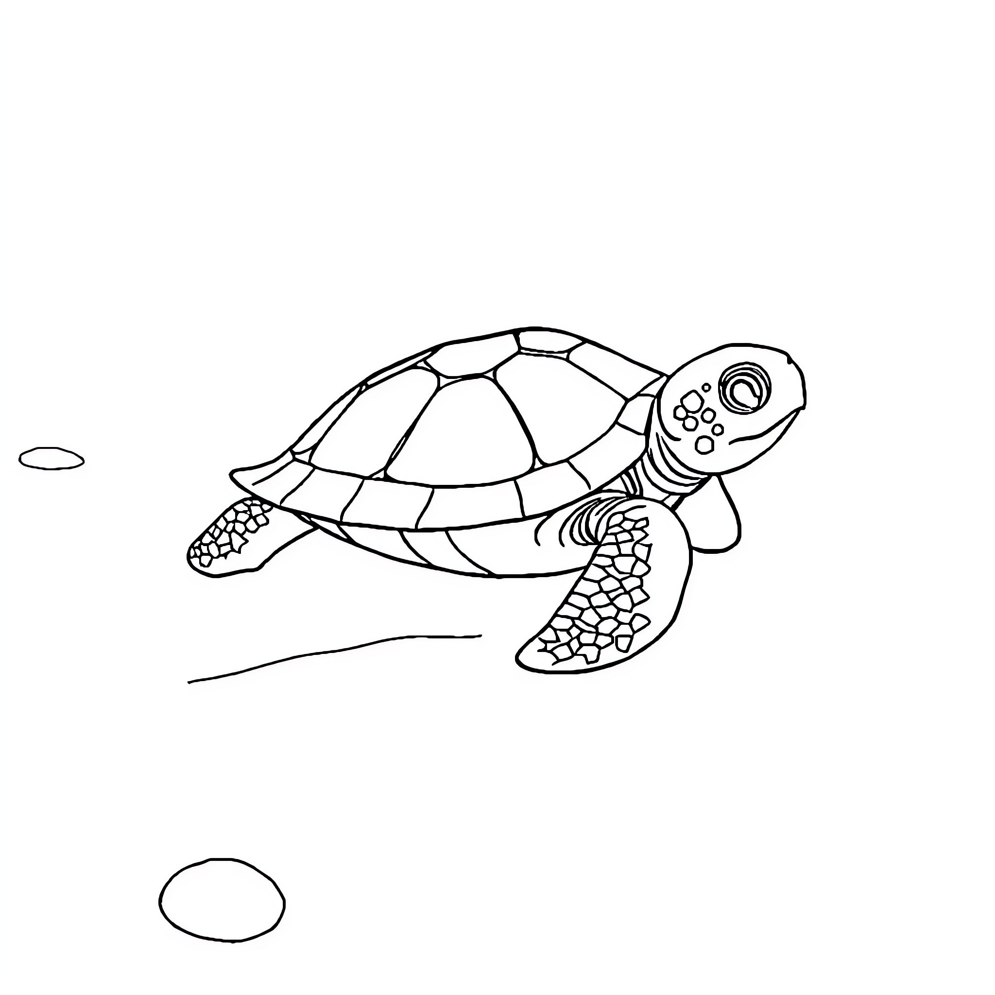 Turtle swimming peacefully in the ocean Coloring Page (free black-and-white line drawing printable PDF for all, from beginners to advanced learners, including children, teens, adults, and seniors)