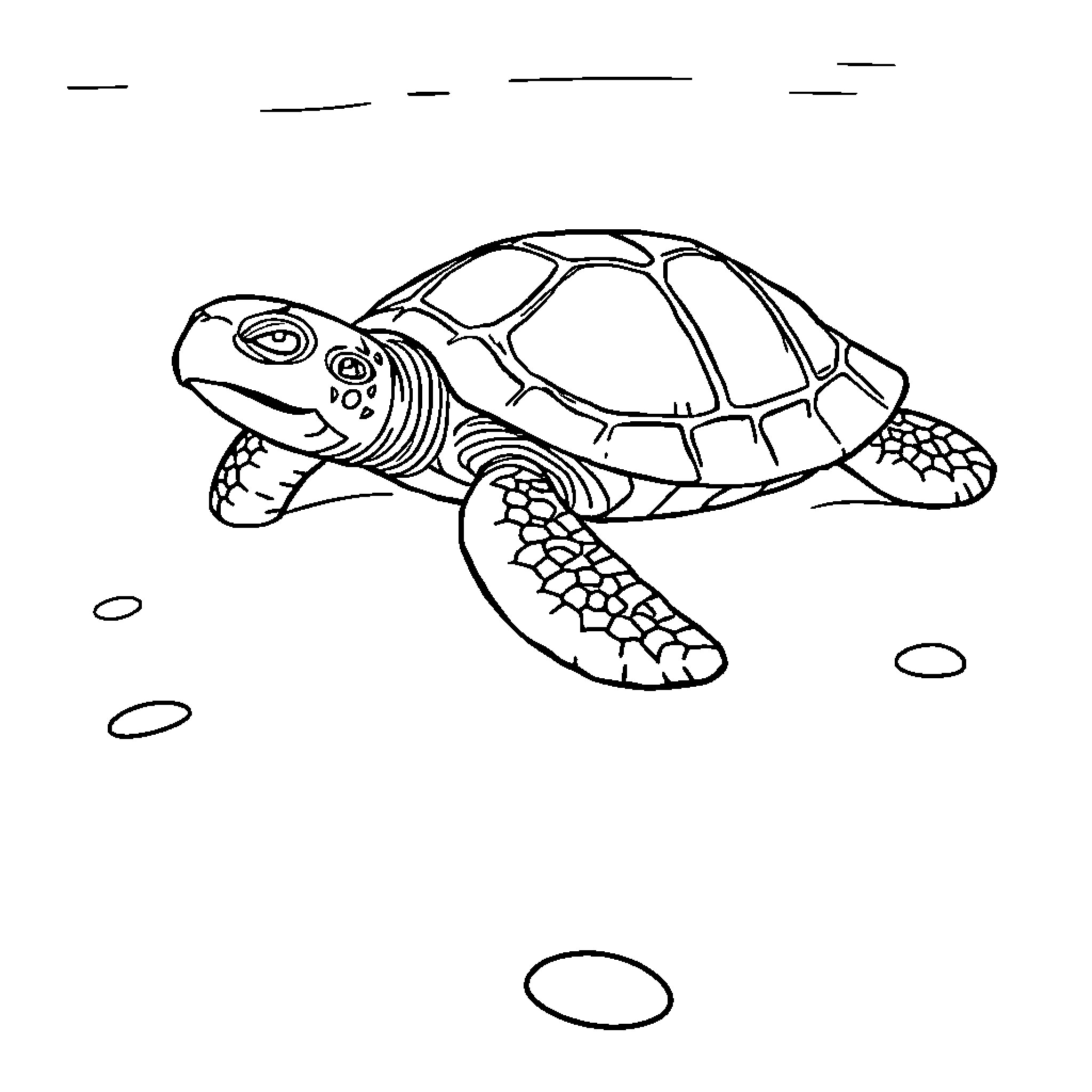 Turtle swimming in the ocean Coloring Page (free black-and-white line drawing printable PDF for all, from beginners to advanced learners, including children, teens, adults, and seniors)