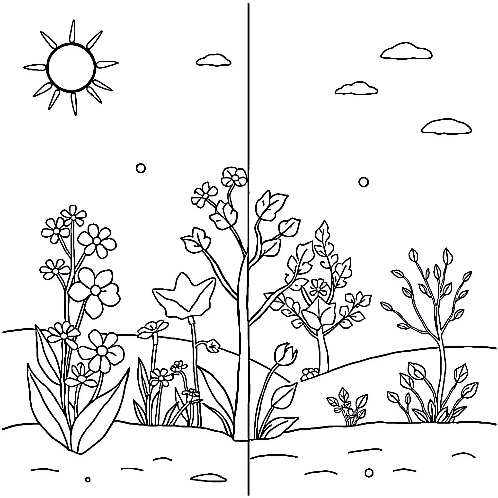 Season of Blossoming Nature Coloring Page (free black-and-white line drawing printable PDF for all, from beginners to advanced learners, including children, teens, adults, and seniors)