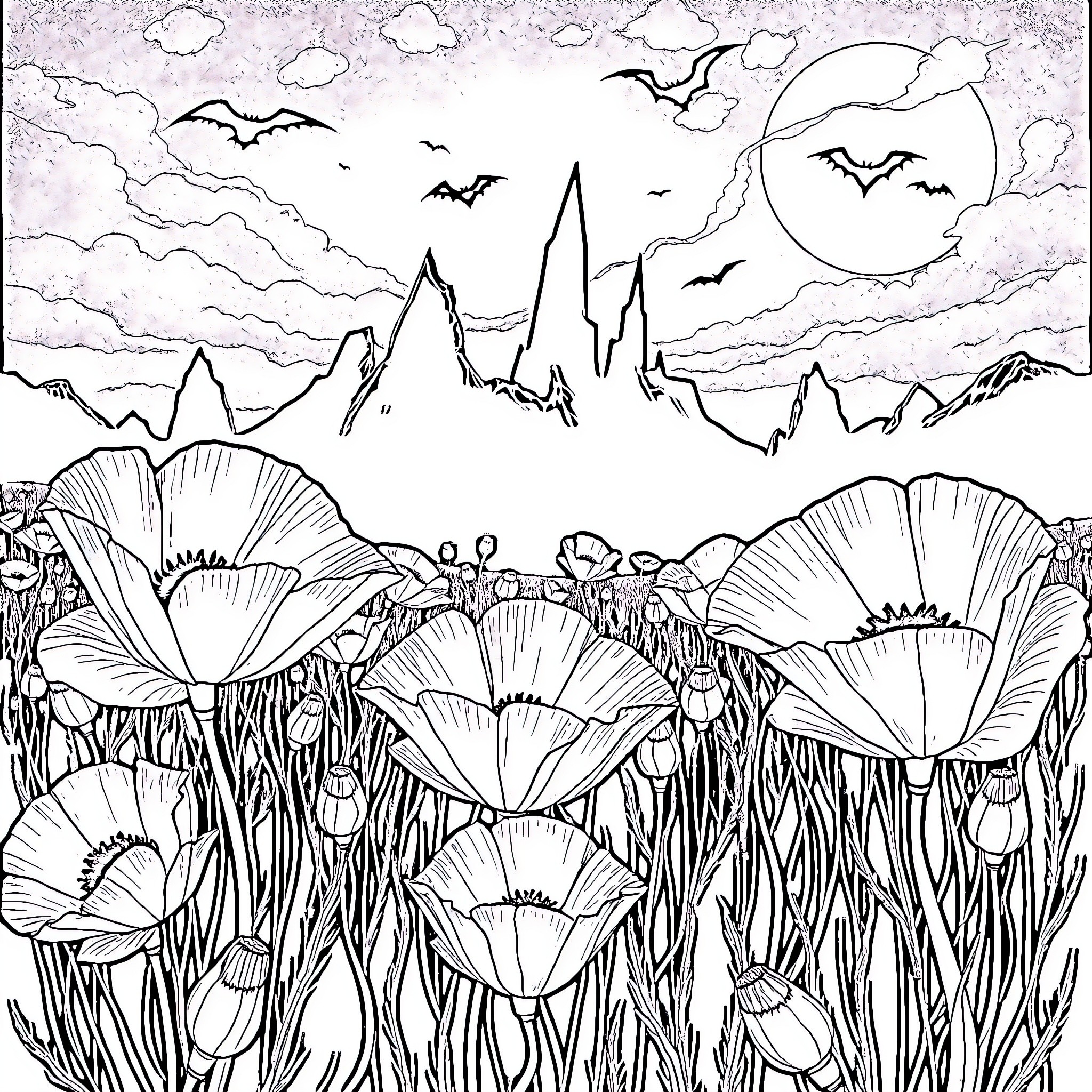 Poppy field under the starry night sky Coloring Page (free black-and-white line drawing printable PDF for all, from beginners to advanced learners, including children, teens, adults, and seniors)