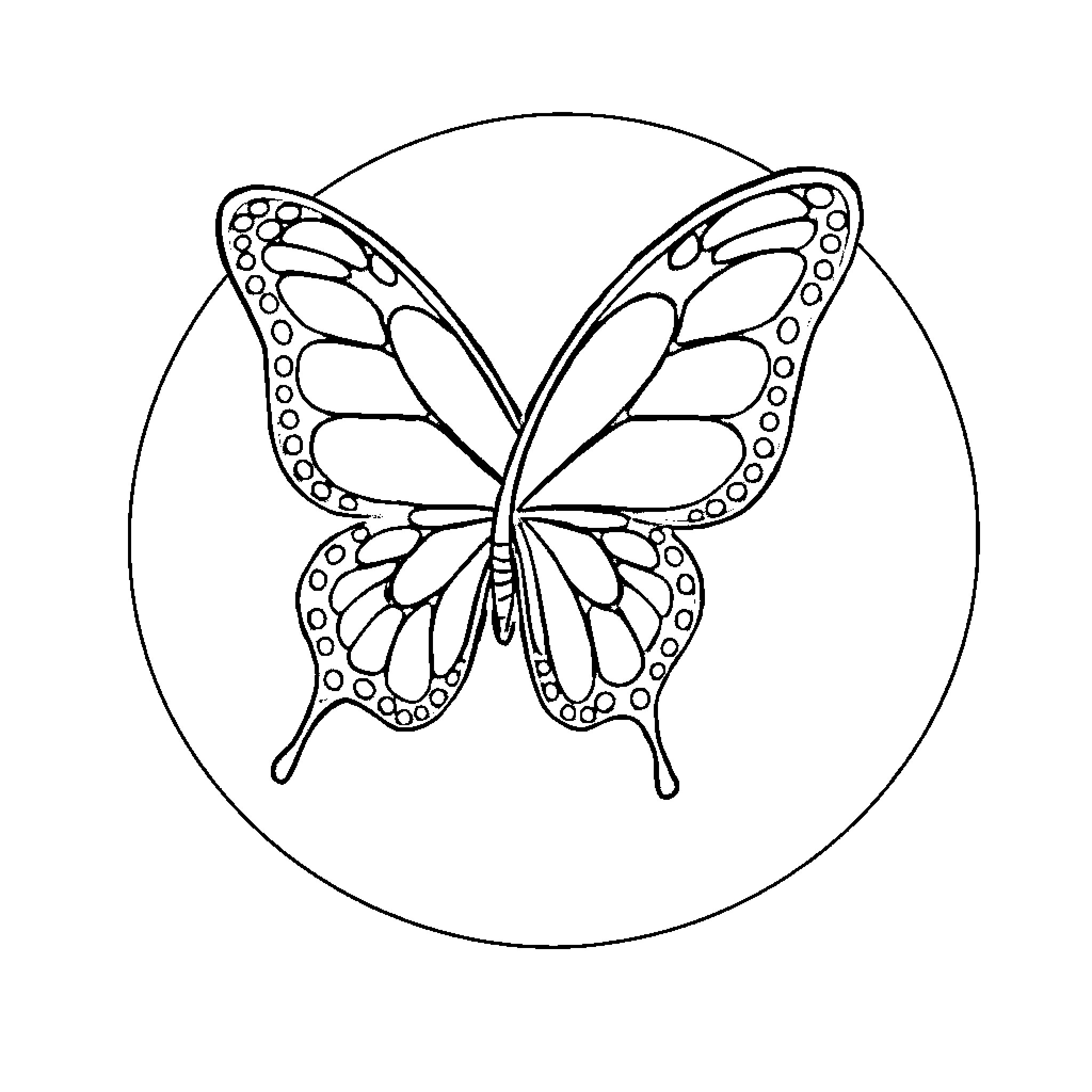 Butterfly in flight Coloring Page (free black-and-white line drawing printable PDF for all, from beginners to advanced learners, including children, teens, adults, and seniors)