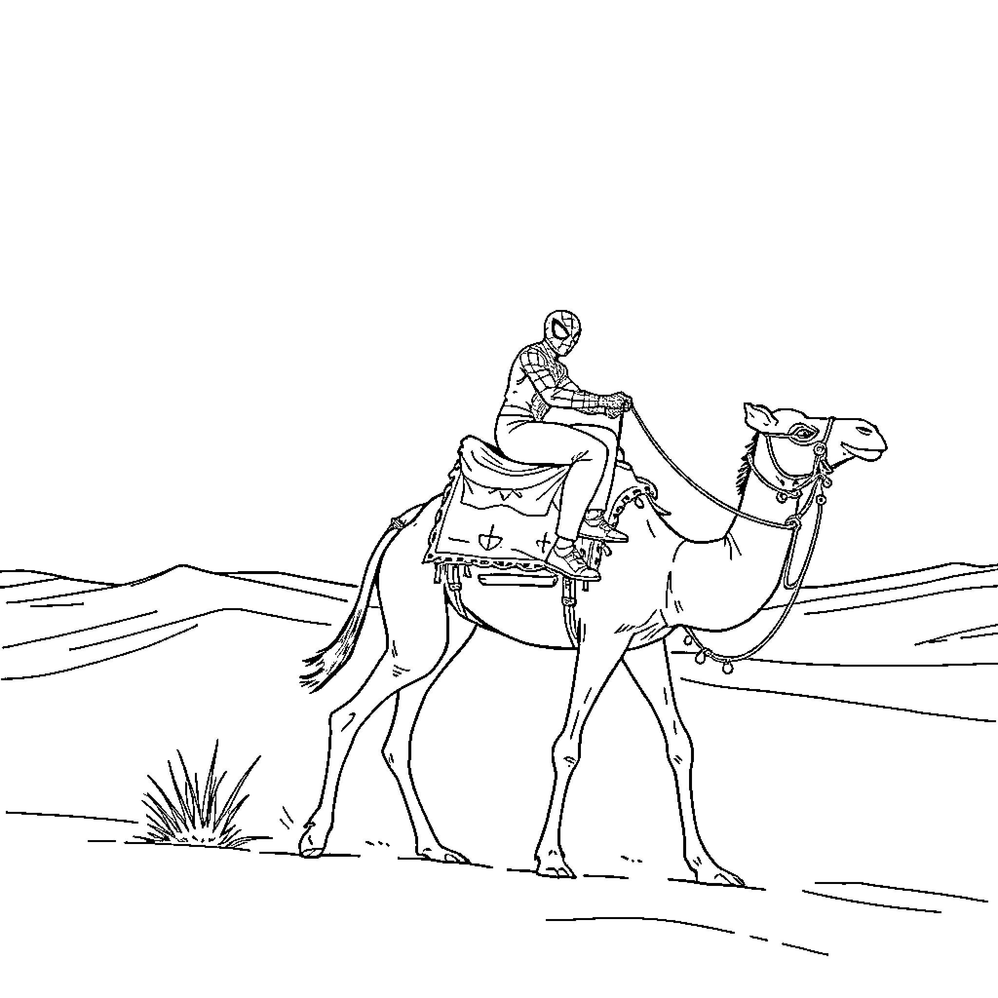 Spiderman riding a camel in the desert Coloring Page (free black-and-white line drawing printable PDF for all, from beginners to advanced learners, including children, teens, adults, and seniors)