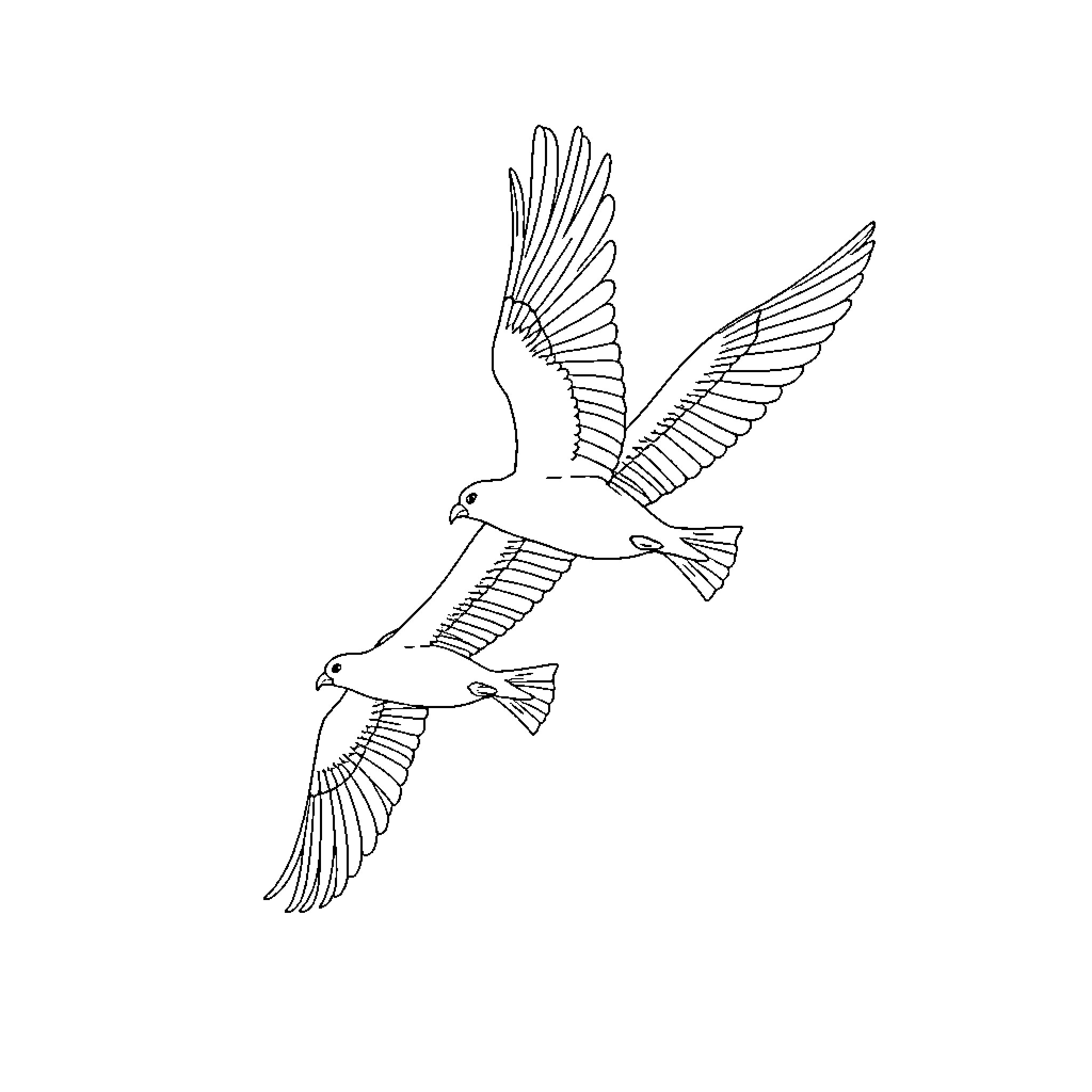 Skywing birds soaring gracefully Coloring Page (free black-and-white line drawing printable PDF for all, from beginners to advanced learners, including children, teens, adults, and seniors)