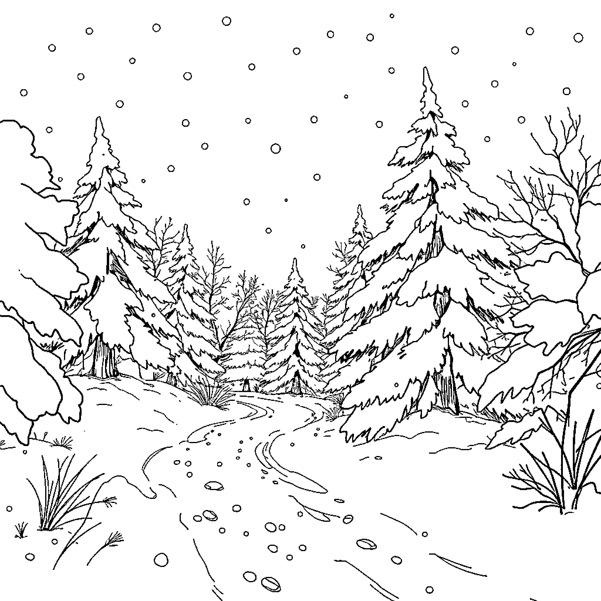 Winter Wonderland landscape with snowy trees and path Coloring Page (free black-and-white line drawing printable PDF for all, from beginners to advanced learners, including children, teens, adults, and seniors)