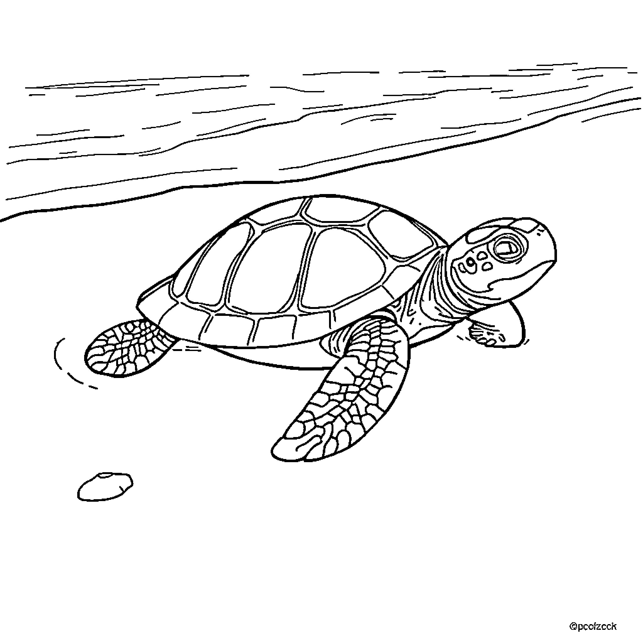 Turtle swimming peacefully in the sea Coloring Page (free black-and-white line drawing printable PDF for all, from beginners to advanced learners, including children, teens, adults, and seniors)