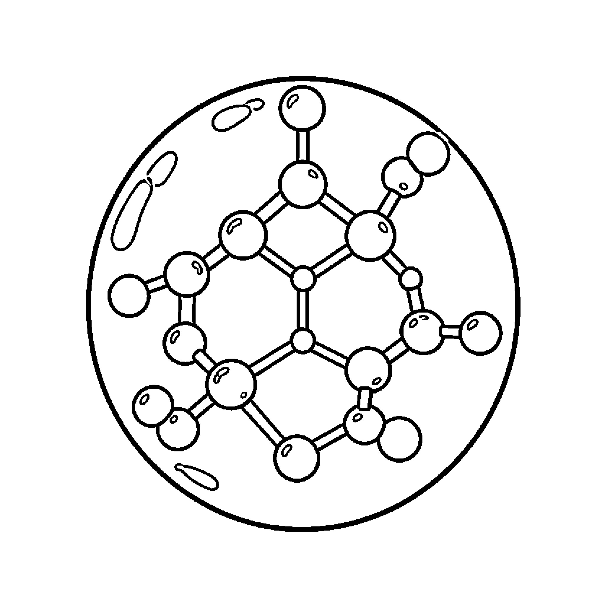 Water Molecule Structure Diagram Coloring Page (free black-and-white line drawing printable PDF for all, from beginners to advanced learners, including children, teens, adults, and seniors)