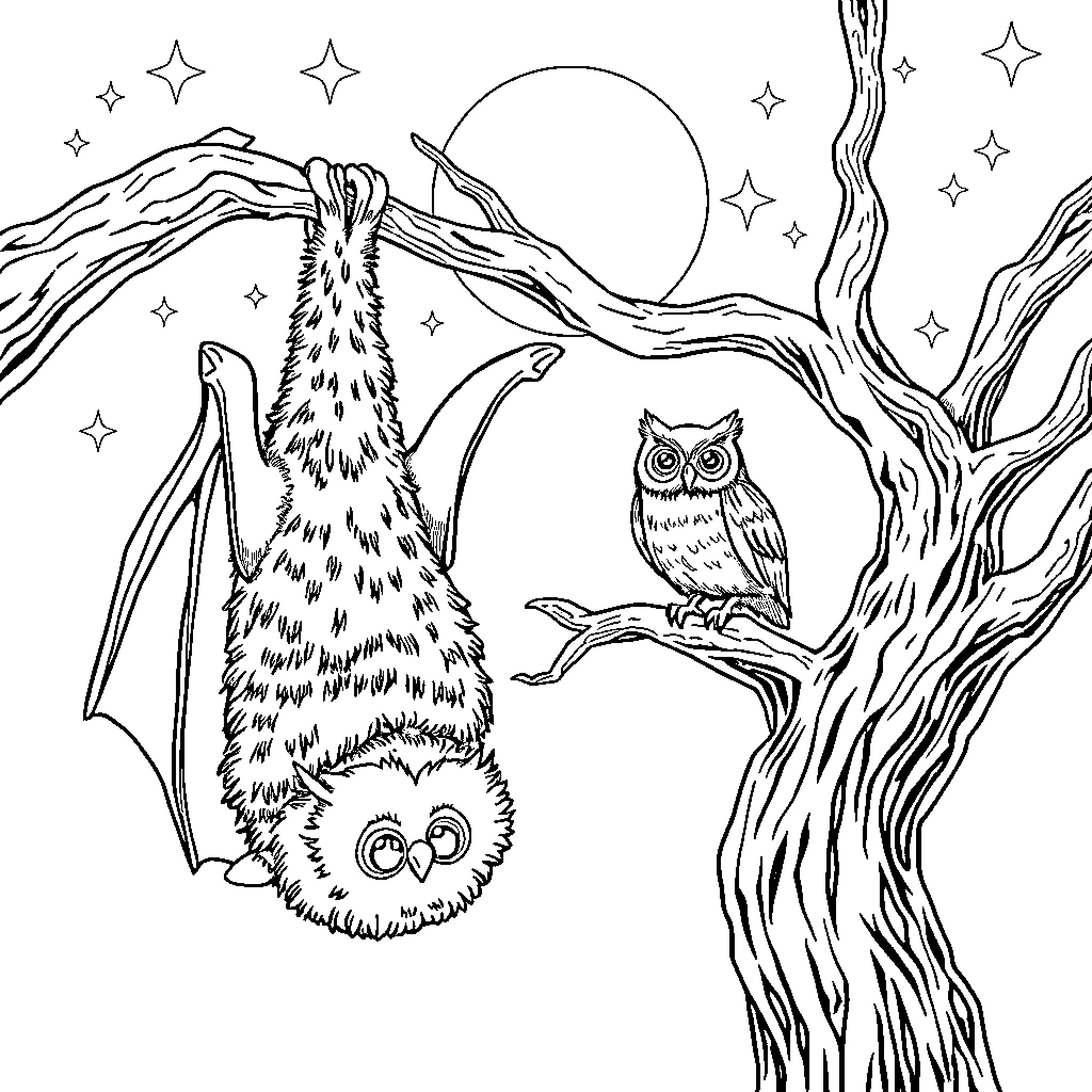 Owl gazing at the night sky with a bat Coloring Page (free black-and-white line drawing printable PDF for all, from beginners to advanced learners, including children, teens, adults, and seniors)