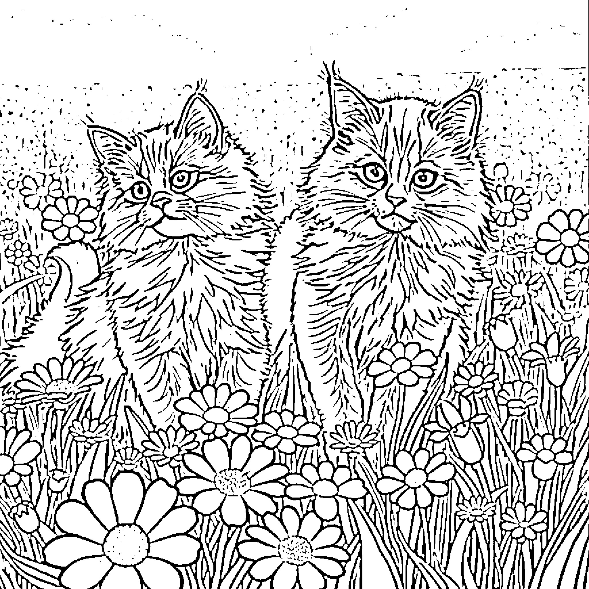 Cat Duo Amid Blooming Flowers Coloring Page (free black-and-white line drawing printable PDF for all, from beginners to advanced learners, including children, teens, adults, and seniors)