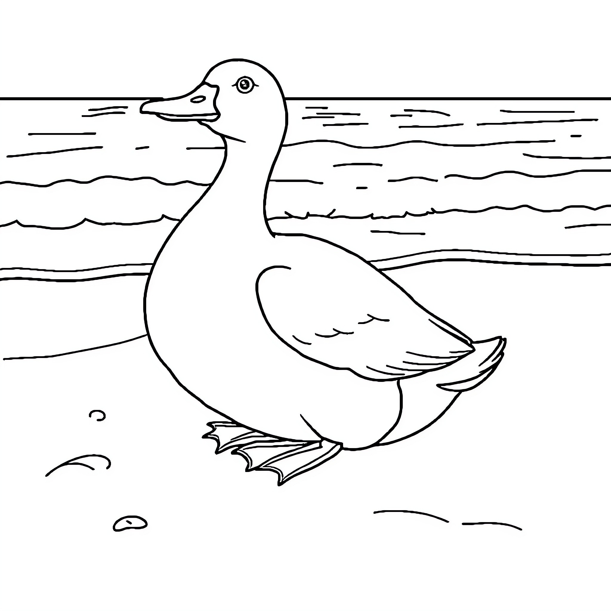 Duck swimming calmly in the water Coloring Page (free black-and-white line drawing printable PDF for all, from beginners to advanced learners, including children, teens, adults, and seniors)