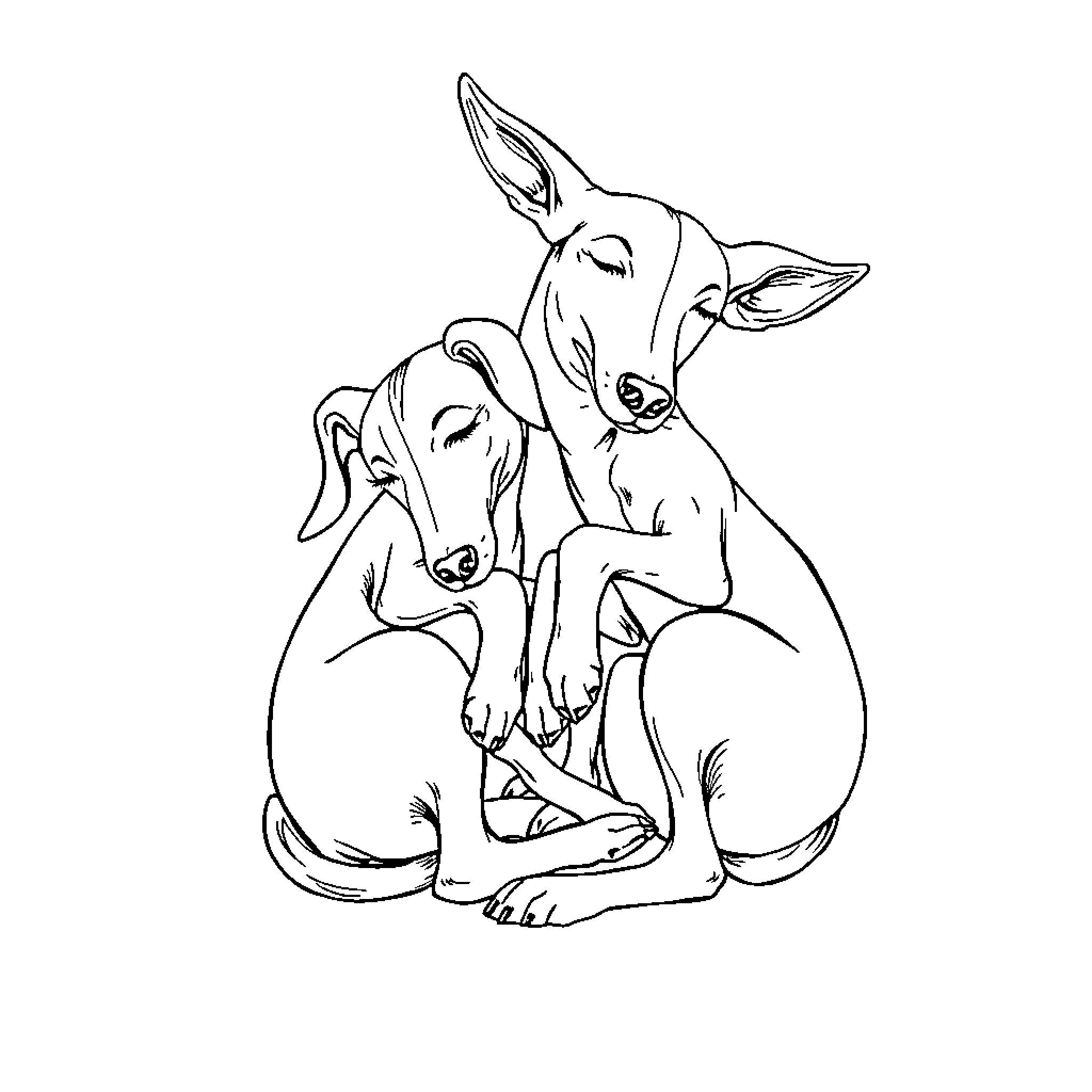 Galgos embracing tenderly in repose Coloring Page (free black-and-white line drawing printable PDF for all, from beginners to advanced learners, including children, teens, adults, and seniors)