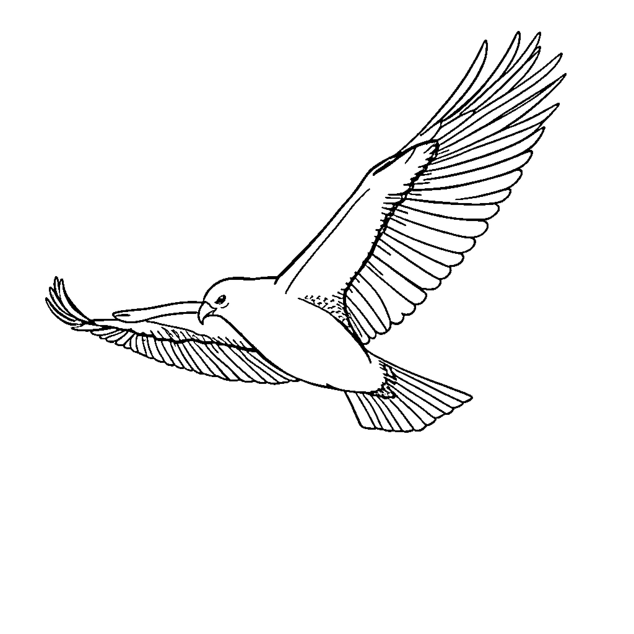 Stella's soaring bird in flight Coloring Page (free black-and-white line drawing printable PDF for all, from beginners to advanced learners, including children, teens, adults, and seniors)