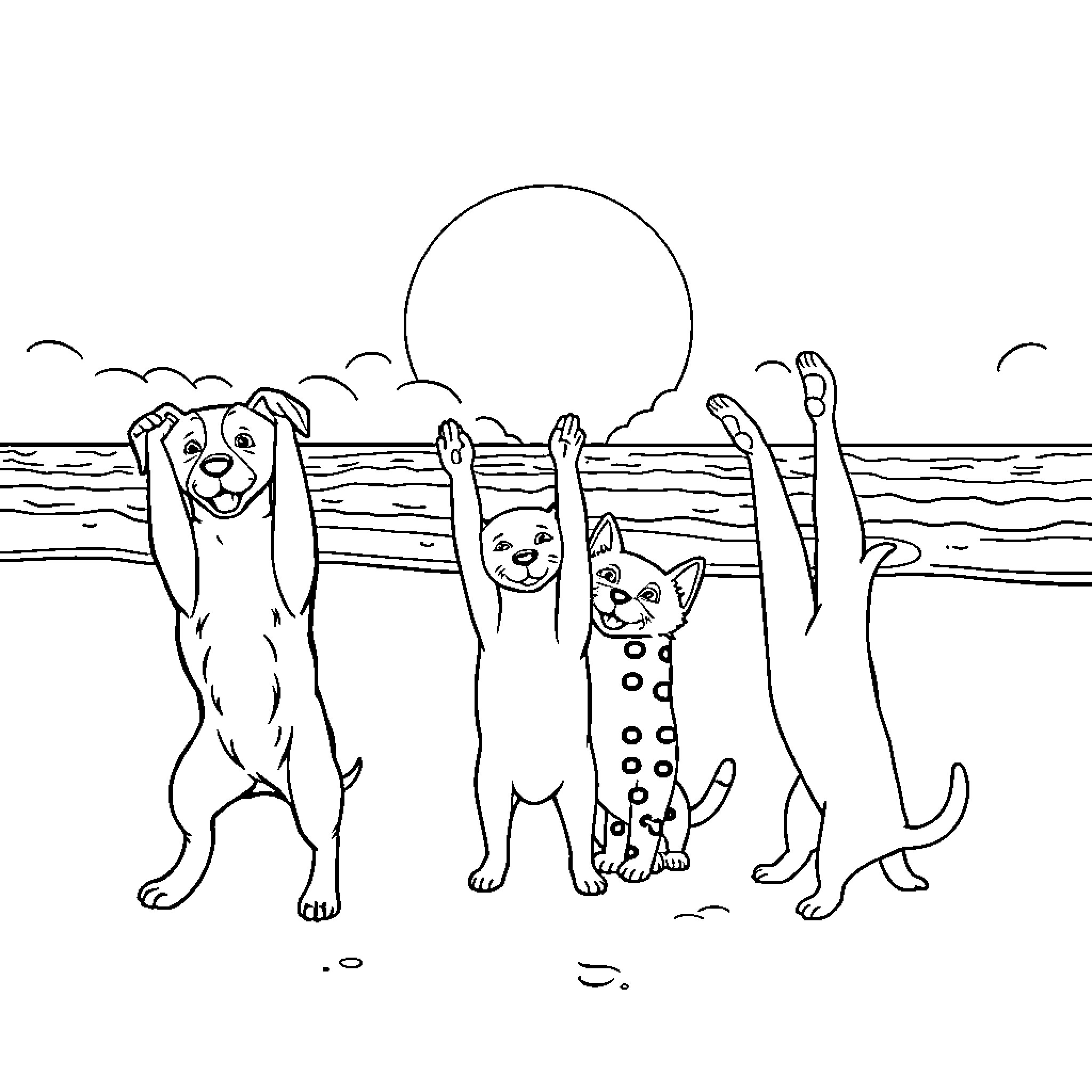 Dogs and Cats Enjoying the Beach Coloring Page (free black-and-white line drawing printable PDF for all, from beginners to advanced learners, including children, teens, adults, and seniors)