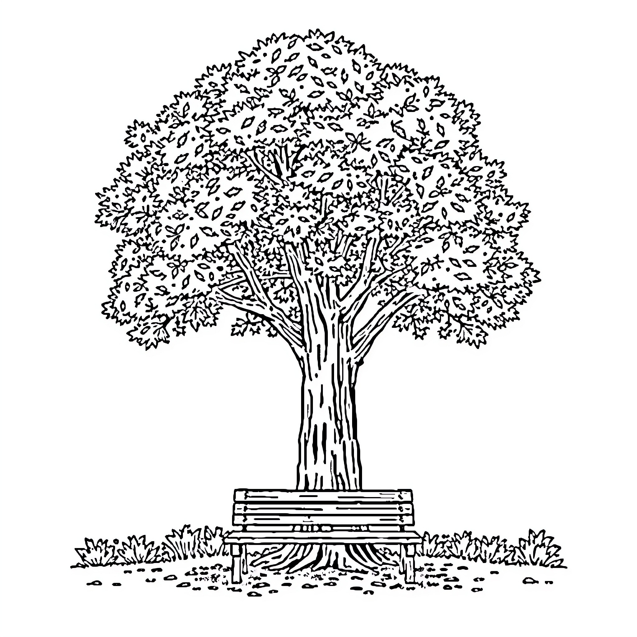 Tree with Lush Foliage and Bench Coloring Page (free black-and-white line drawing printable PDF for all, from beginners to advanced learners, including children, teens, adults, and seniors)