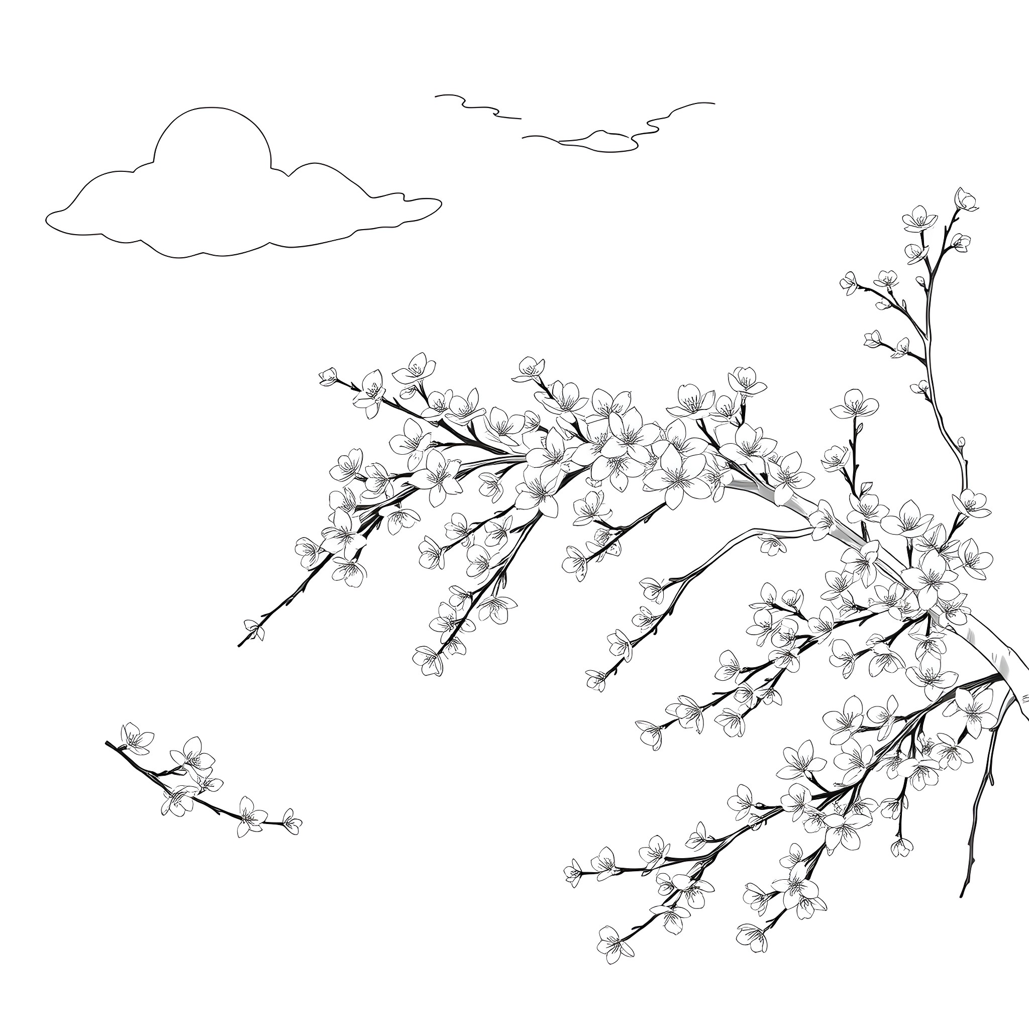 Cherry Blossom Branches in Serene Nature Coloring Page (free black-and-white line drawing printable PDF for all, from beginners to advanced learners, including children, teens, adults, and seniors)