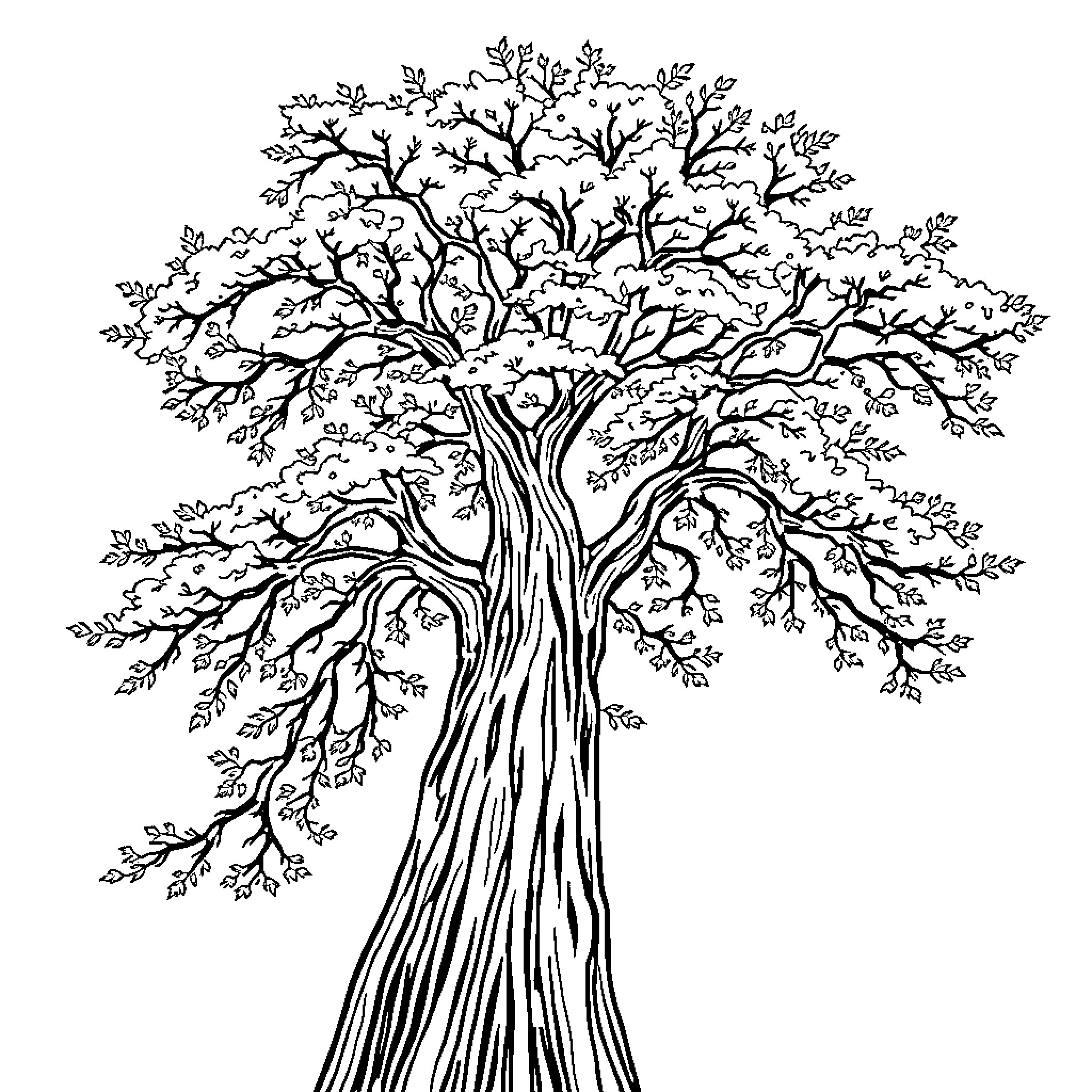 Tree with intricate branches in detailed drawing Coloring Page (free black-and-white line drawing printable PDF for all, from beginners to advanced learners, including children, teens, adults, and seniors)
