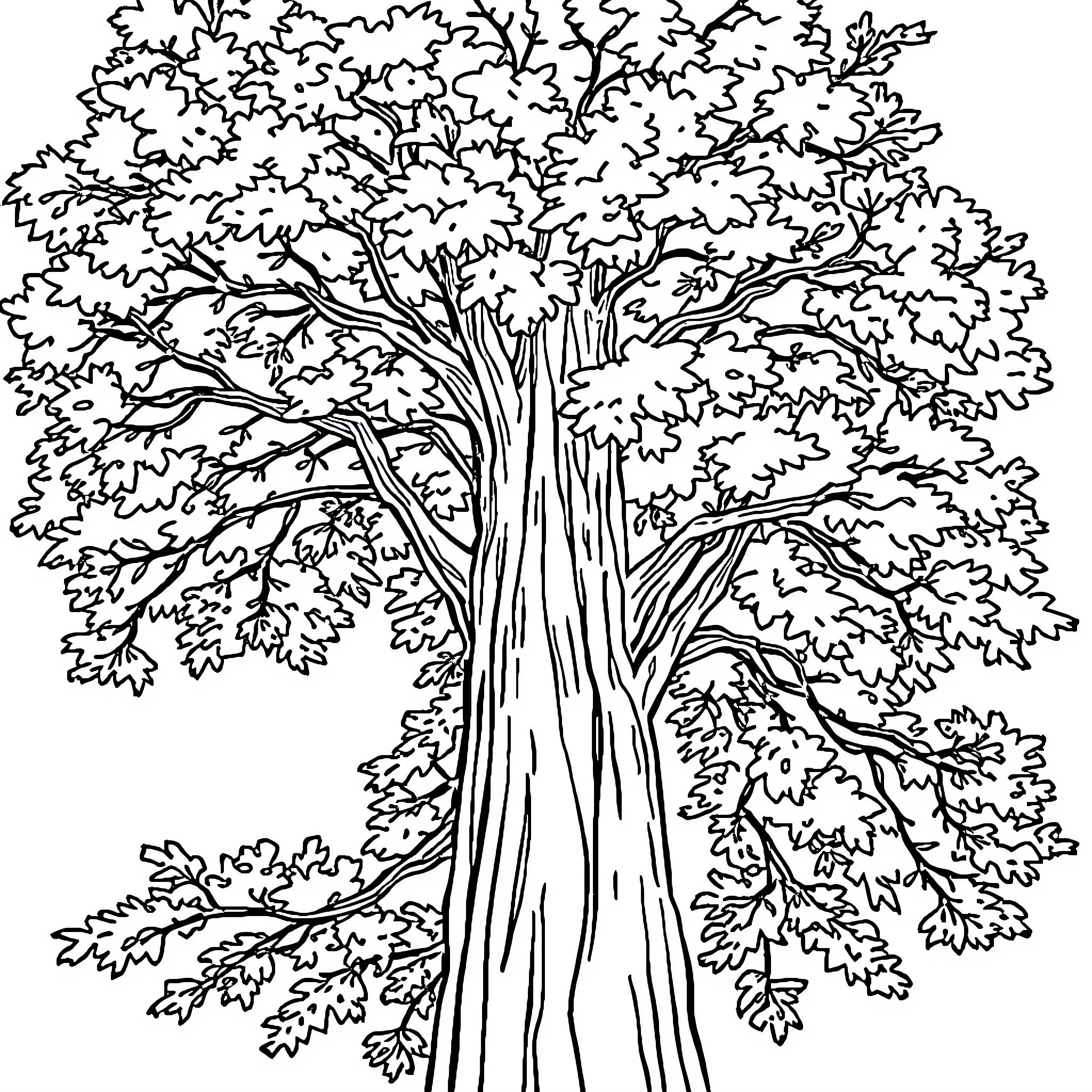 Tree with lush foliage Coloring Page (free black-and-white line drawing printable PDF for all, from beginners to advanced learners, including children, teens, adults, and seniors)
