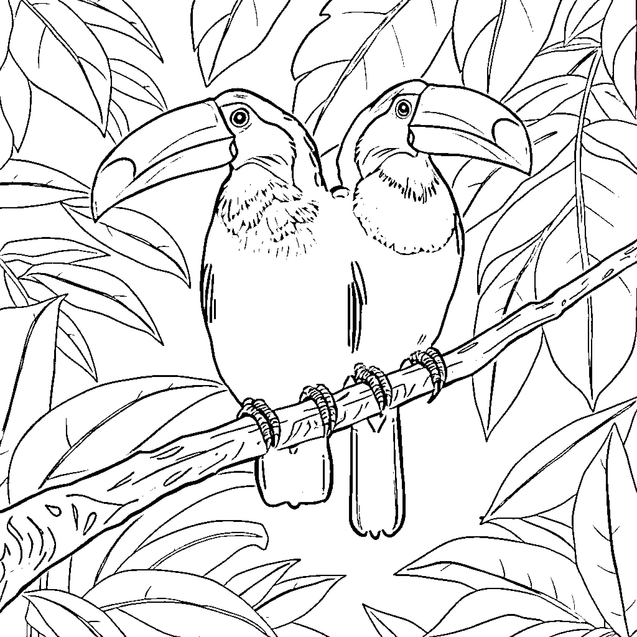 Toucan Pair Perched in Lush Foliage Coloring Page (free black-and-white line drawing printable PDF for all, from beginners to advanced learners, including children, teens, adults, and seniors)