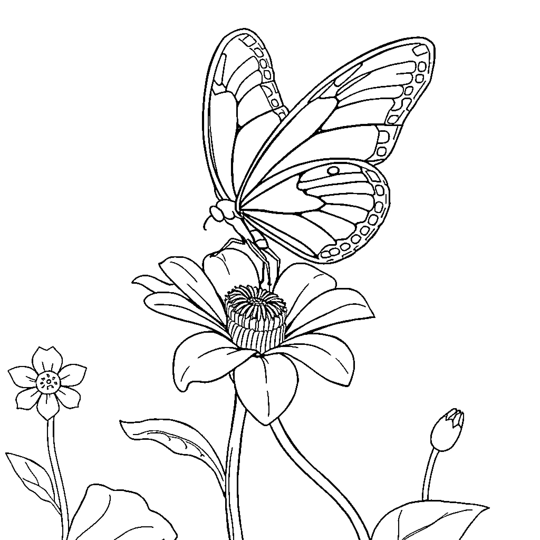 Butterfly resting on a vibrant flower Coloring Page (free black-and-white line drawing printable PDF for all, from beginners to advanced learners, including children, teens, adults, and seniors)