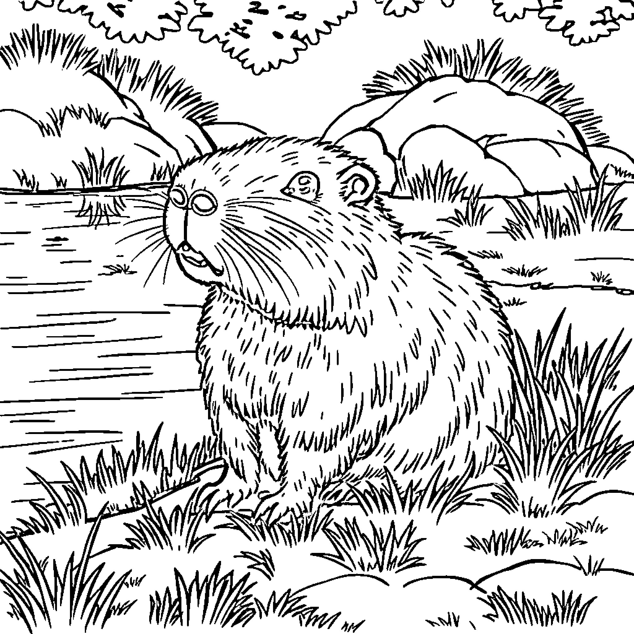 Capybara in natural habitat Coloring Page (free black-and-white line drawing printable PDF for all, from beginners to advanced learners, including children, teens, adults, and seniors)