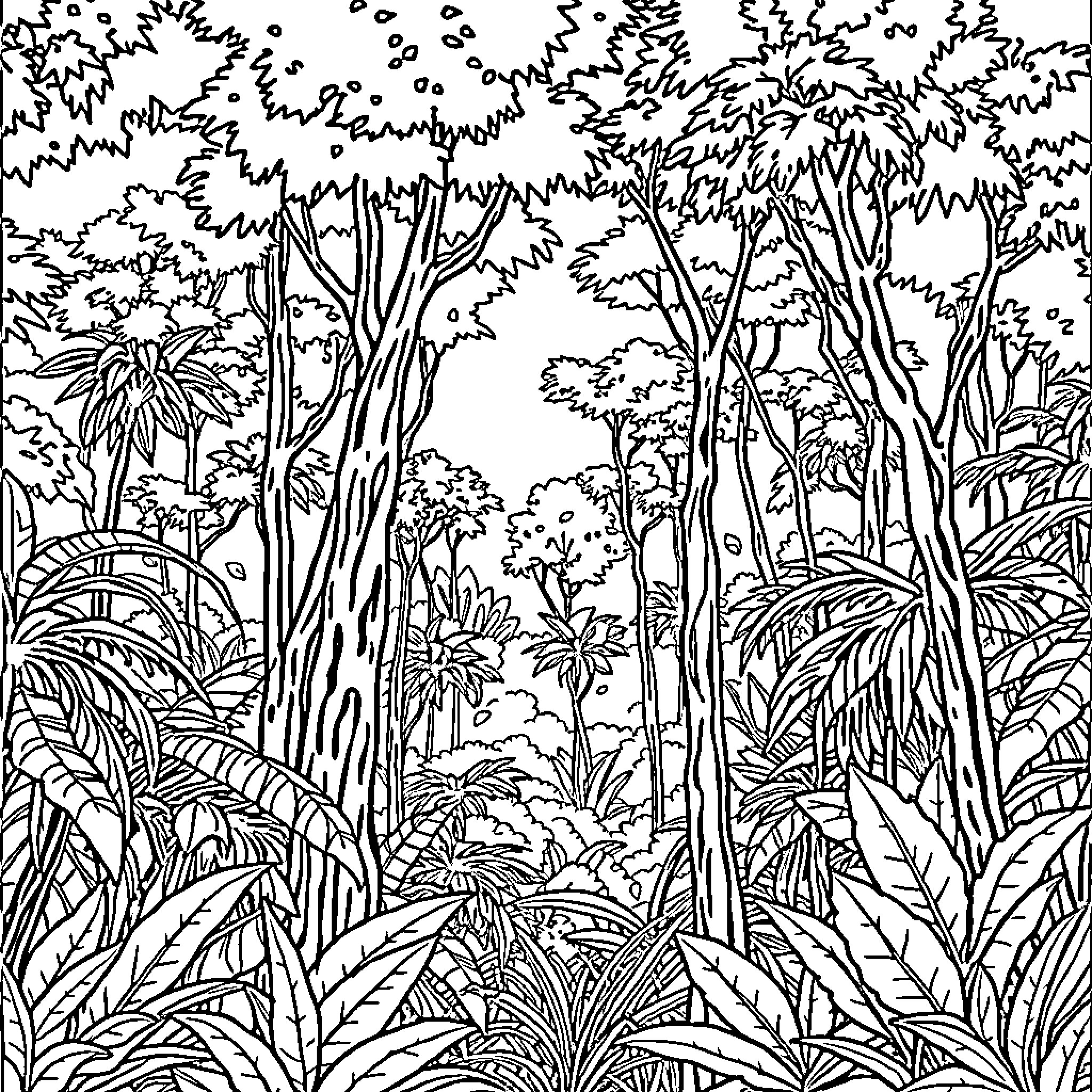 Amazon Jungle Landscape with Dense Vegetation Coloring Page (free black-and-white line drawing printable PDF for all, from beginners to advanced learners, including children, teens, adults, and seniors)