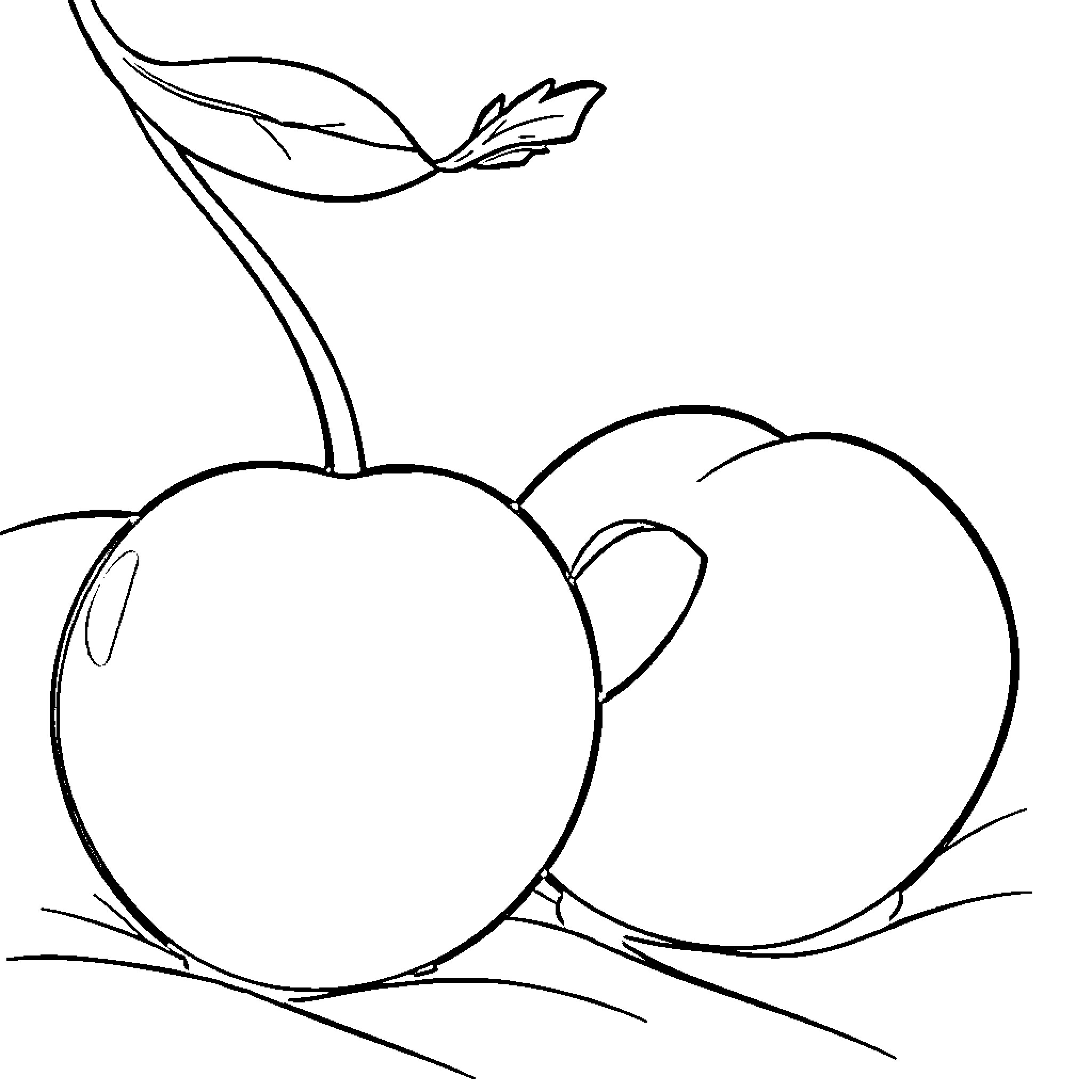 Cherry Apples in Orchard Coloring Page (free black-and-white line drawing printable PDF for all, from beginners to advanced learners, including children, teens, adults, and seniors)
