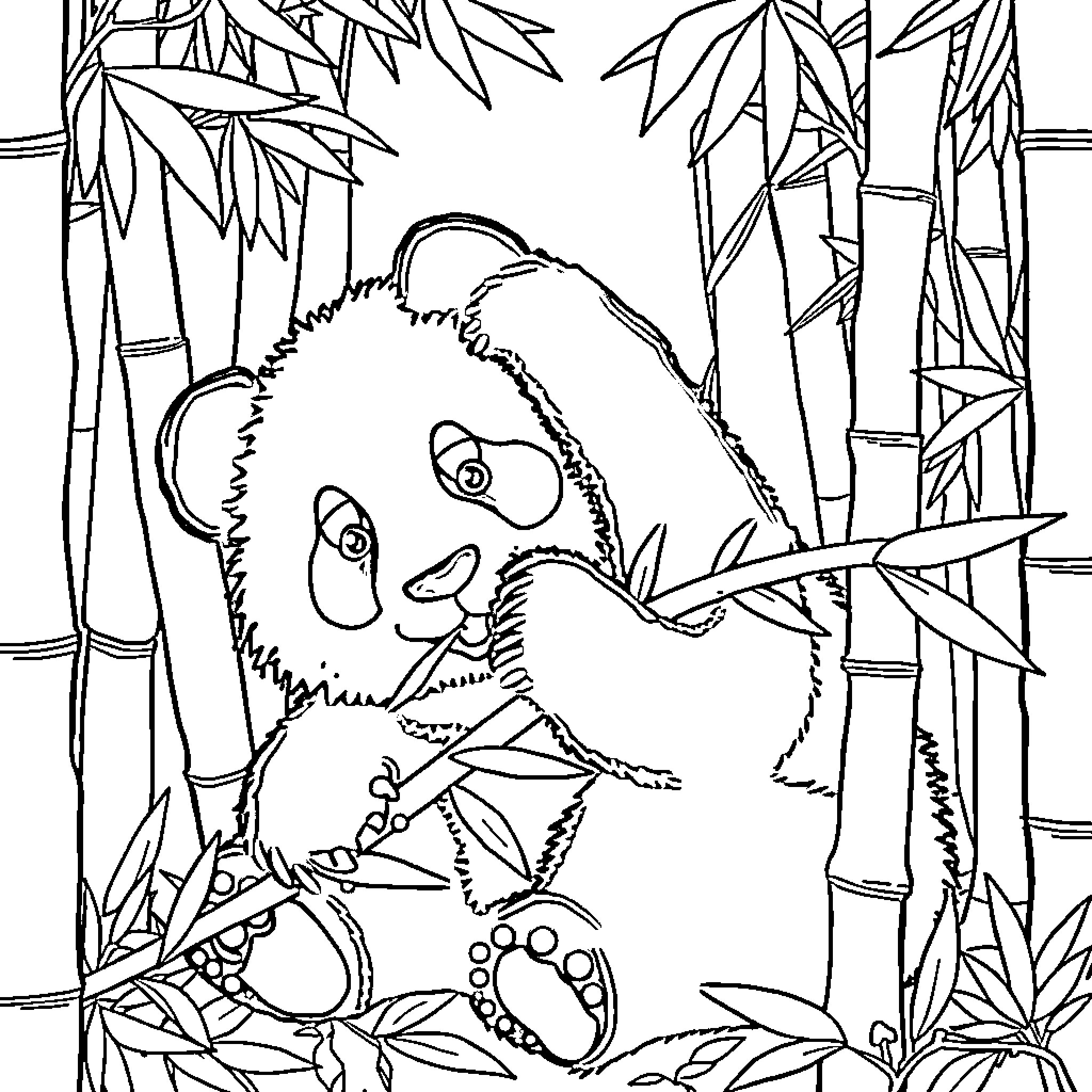Panda in a bamboo forest Coloring Page (free black-and-white line drawing printable PDF for all, from beginners to advanced learners, including children, teens, adults, and seniors)