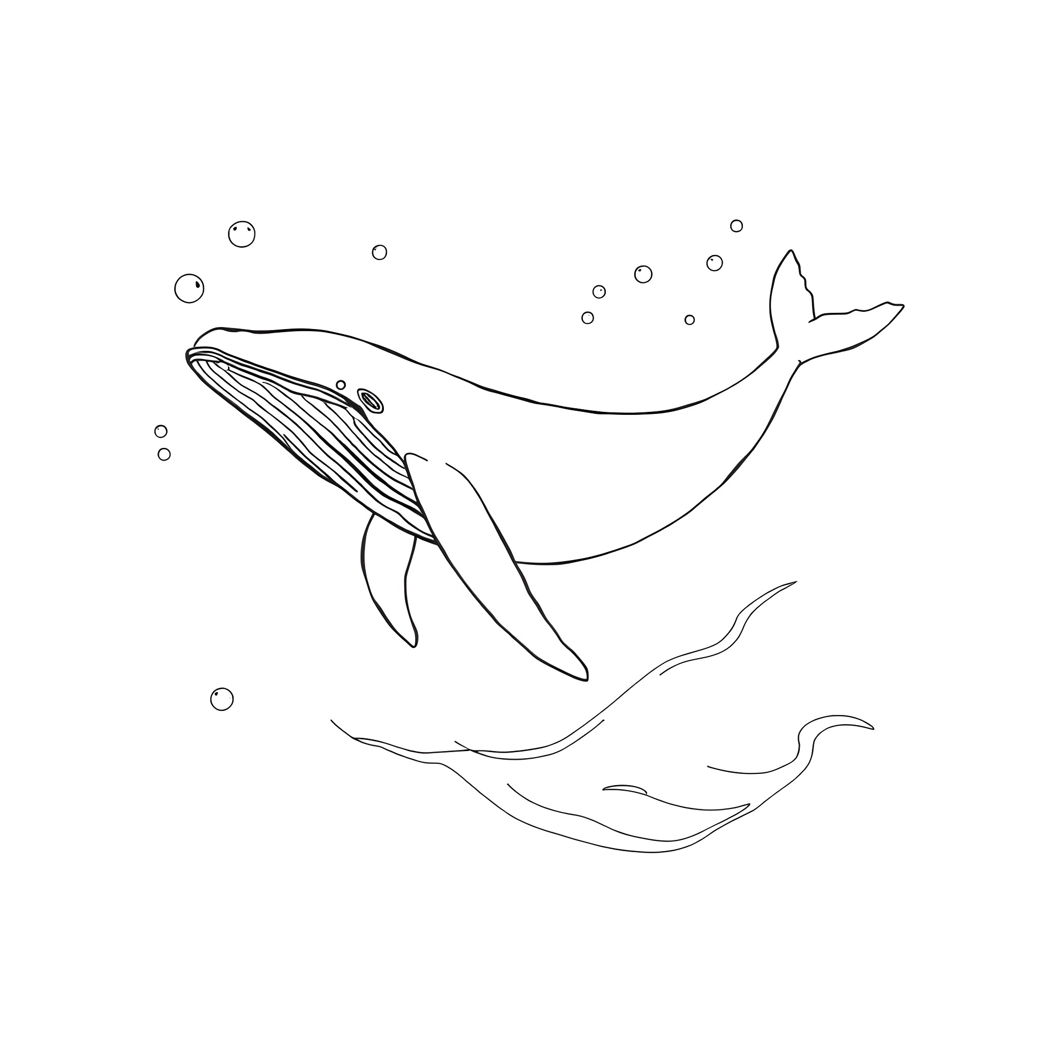 Whale swimming gracefully in the ocean Coloring Page (free black-and-white line drawing printable PDF for all, from beginners to advanced learners, including children, teens, adults, and seniors)
