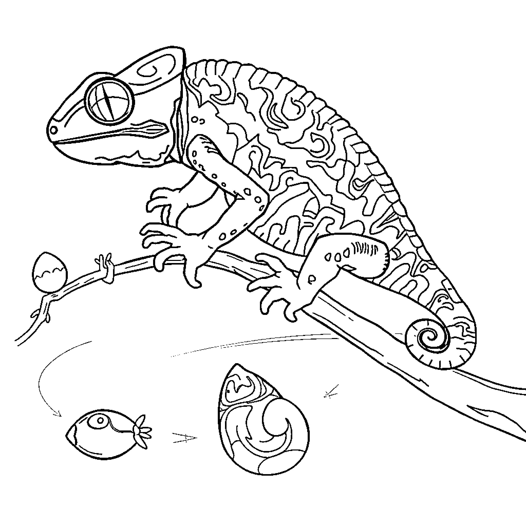 Chameleon Climbing and Hunting in Vibrant Surroundings Coloring Page (free black-and-white line drawing printable PDF for all, from beginners to advanced learners, including children, teens, adults, and seniors)