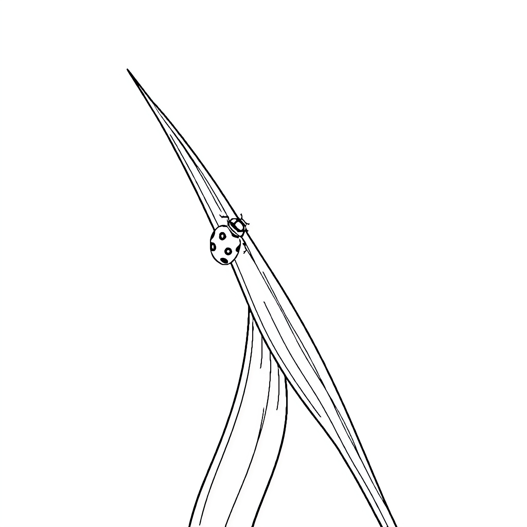 Ladybug climbing up a stem Coloring Page (free black-and-white line drawing printable PDF for all, from beginners to advanced learners, including children, teens, adults, and seniors)