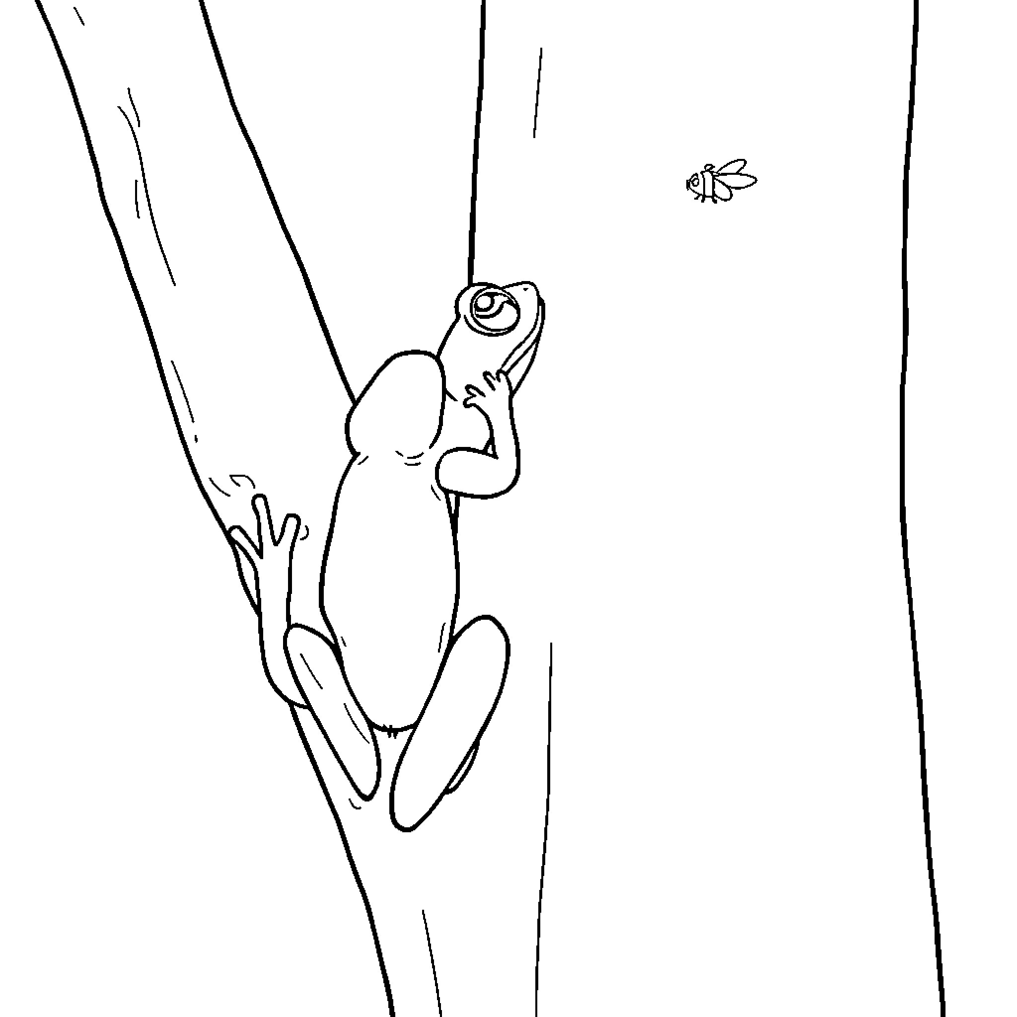 Frog climbing up on branch Coloring Page (free black-and-white line drawing printable PDF for all, from beginners to advanced learners, including children, teens, adults, and seniors)