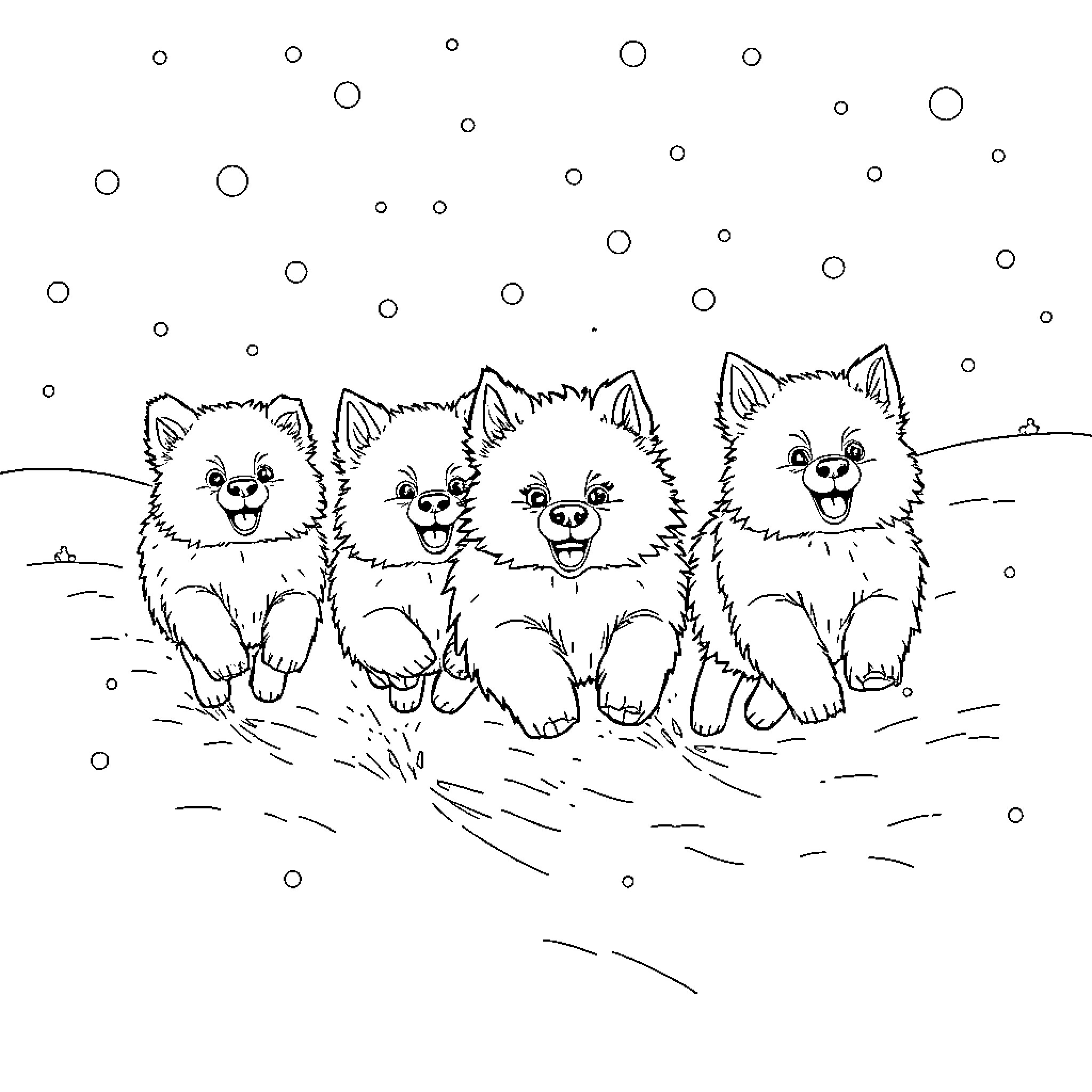 Pet Pomeranians playing happily in the snow Coloring Page (free black-and-white line drawing printable PDF for all, from beginners to advanced learners, including children, teens, adults, and seniors)