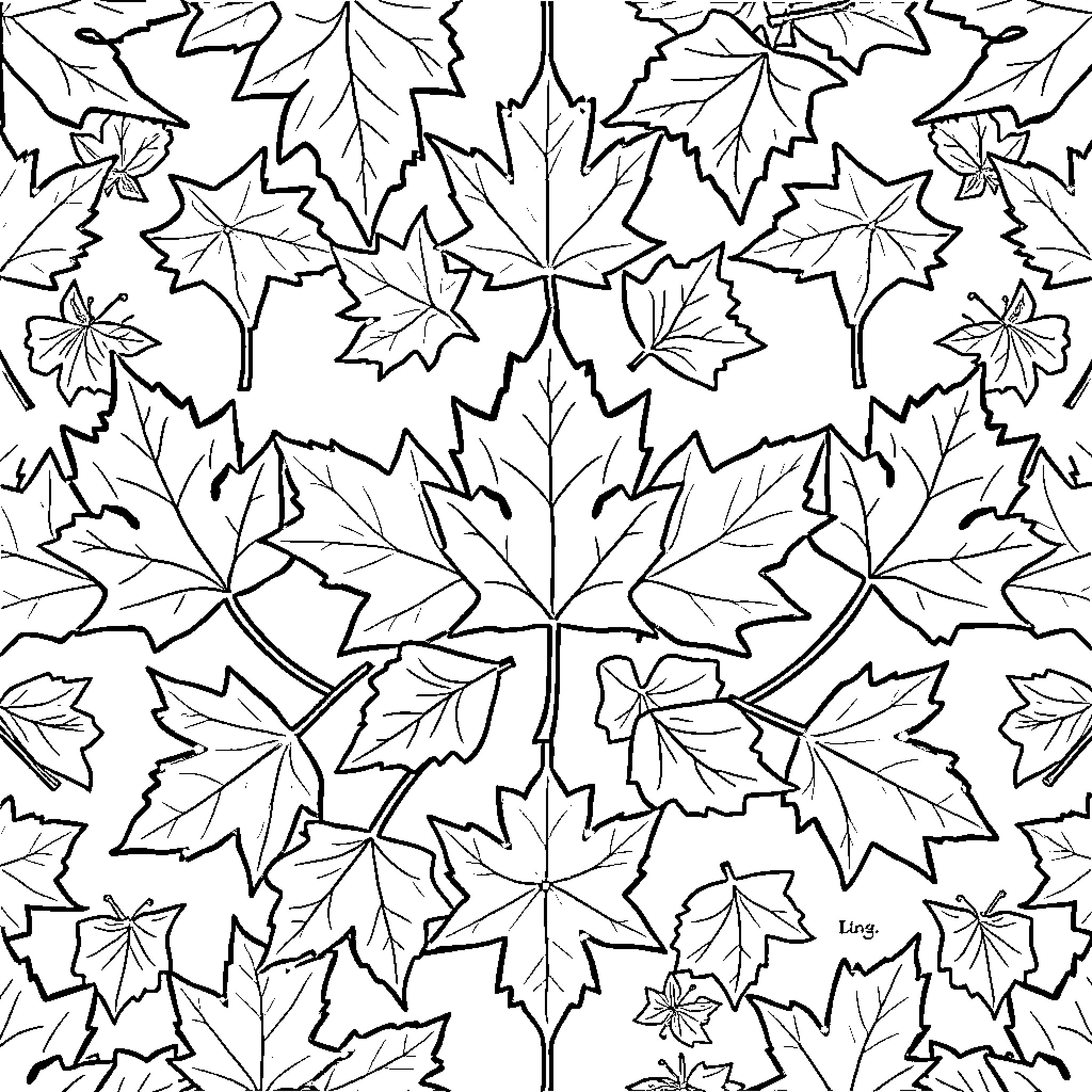 Leaf patterns in black and white Coloring Page (free black-and-white line drawing printable PDF for all, from beginners to advanced learners, including children, teens, adults, and seniors)