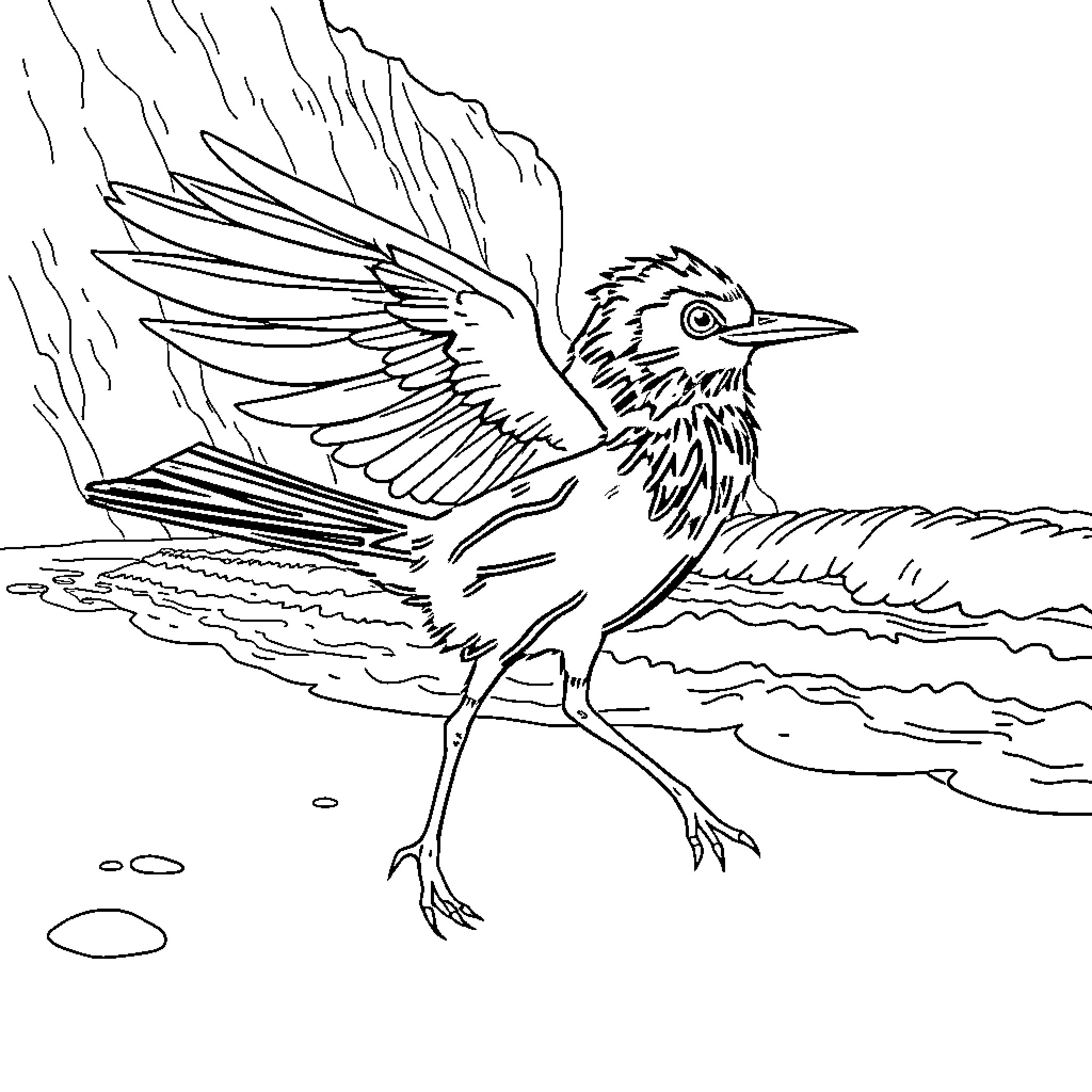Widow's winged companion in flight Coloring Page (free black-and-white line drawing printable PDF for all, from beginners to advanced learners, including children, teens, adults, and seniors)