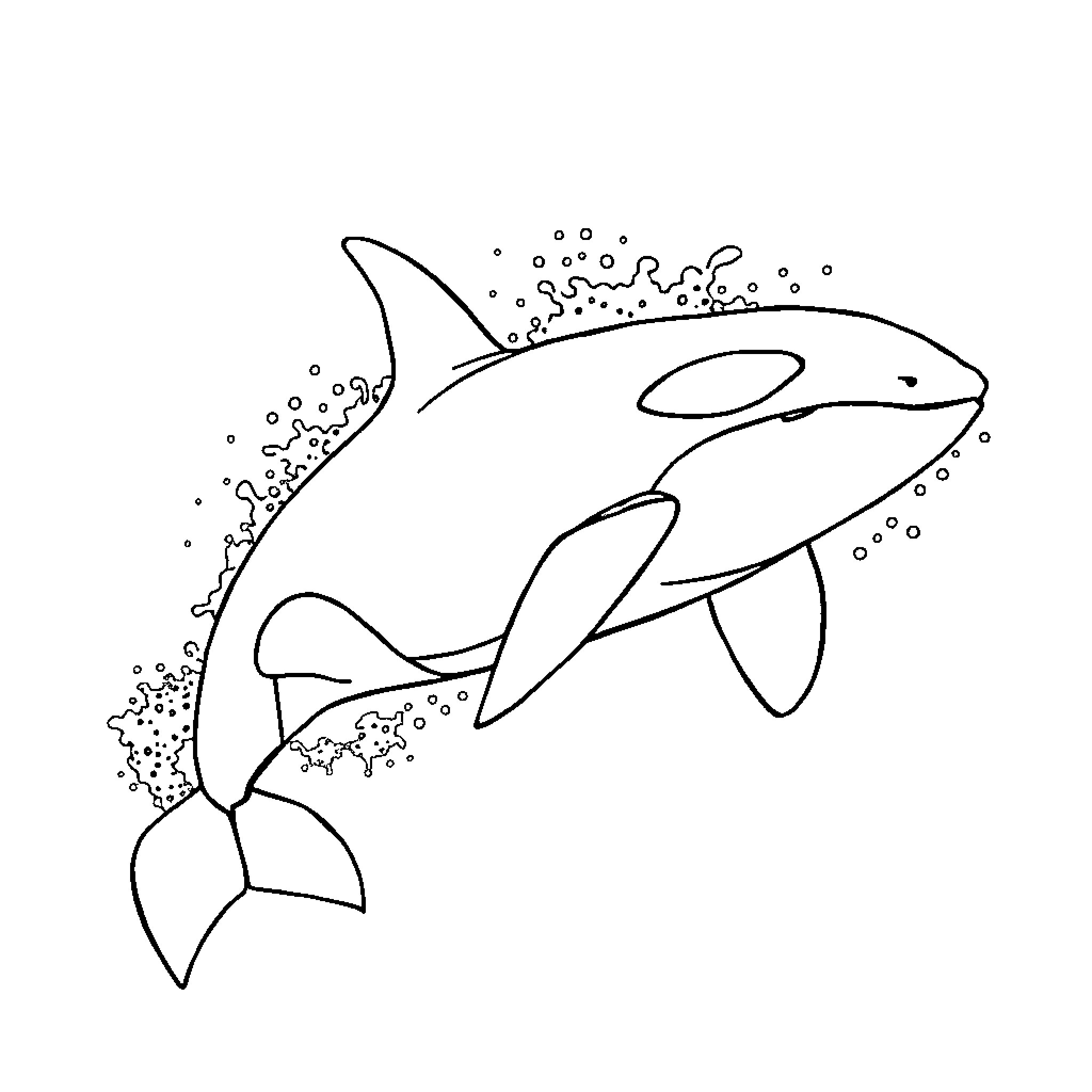 Orca swimming gracefully in the ocean Coloring Page (free black-and-white line drawing printable PDF for all, from beginners to advanced learners, including children, teens, adults, and seniors)