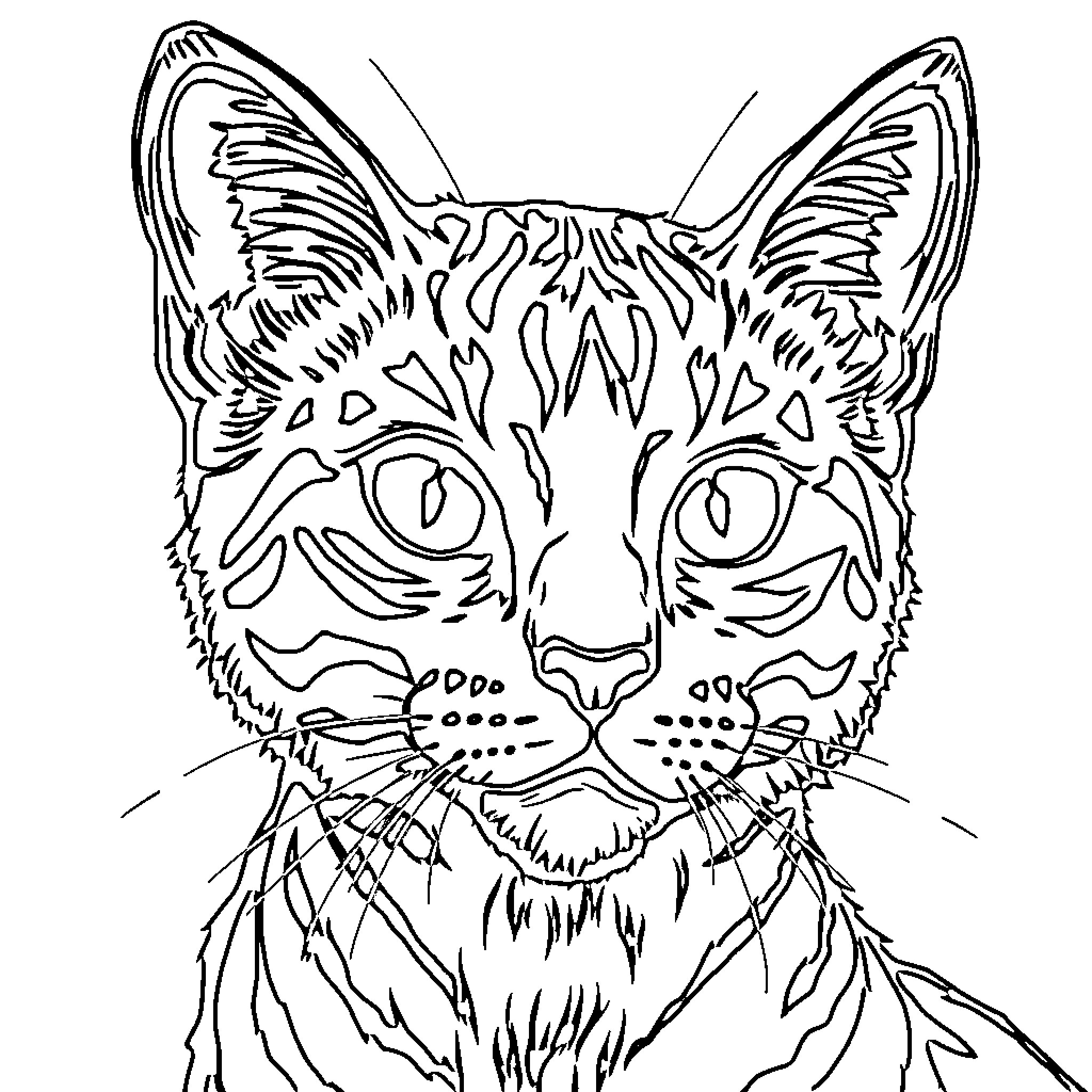 Painting of an intricately patterned cat face Coloring Page (free black-and-white line drawing printable PDF for all, from beginners to advanced learners, including children, teens, adults, and seniors)