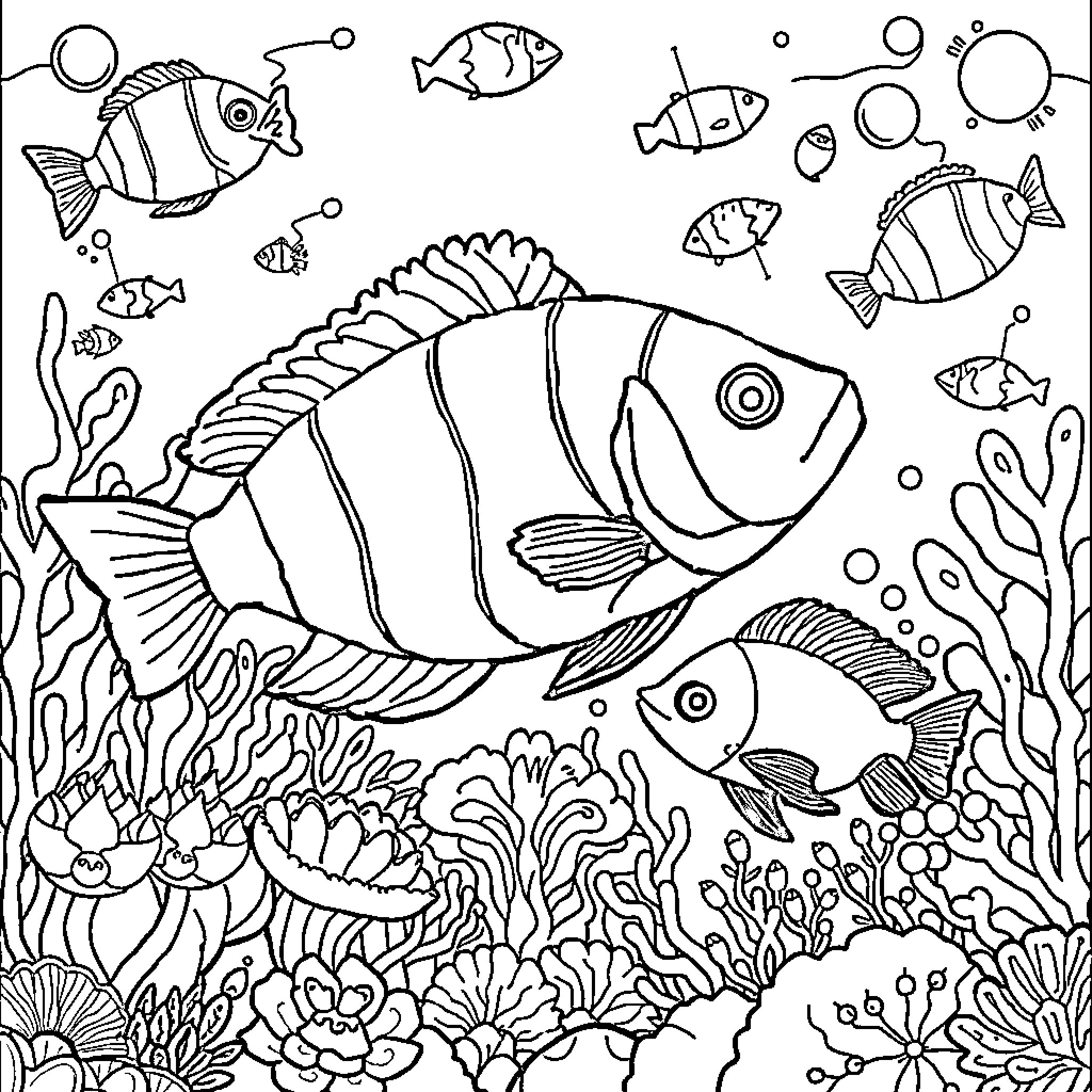 Sea creatures swimming in an underwater world Coloring Page (free black-and-white line drawing printable PDF for all, from beginners to advanced learners, including children, teens, adults, and seniors)