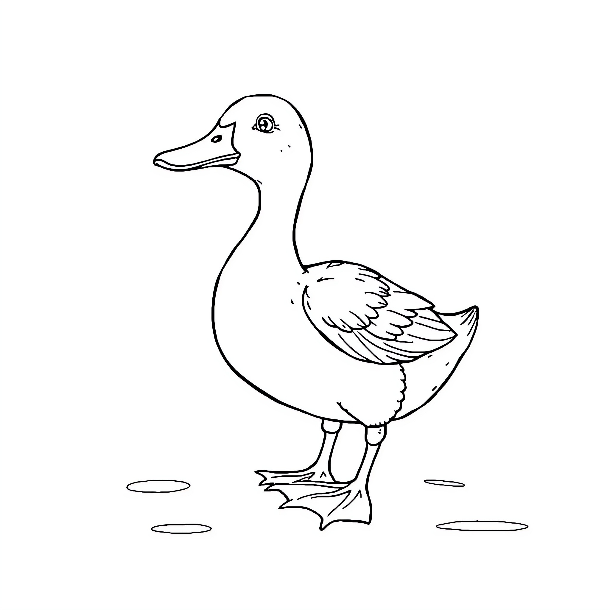 Duck standing with simple outline Coloring Page (free black-and-white line drawing printable PDF for all, from beginners to advanced learners, including children, teens, adults, and seniors)