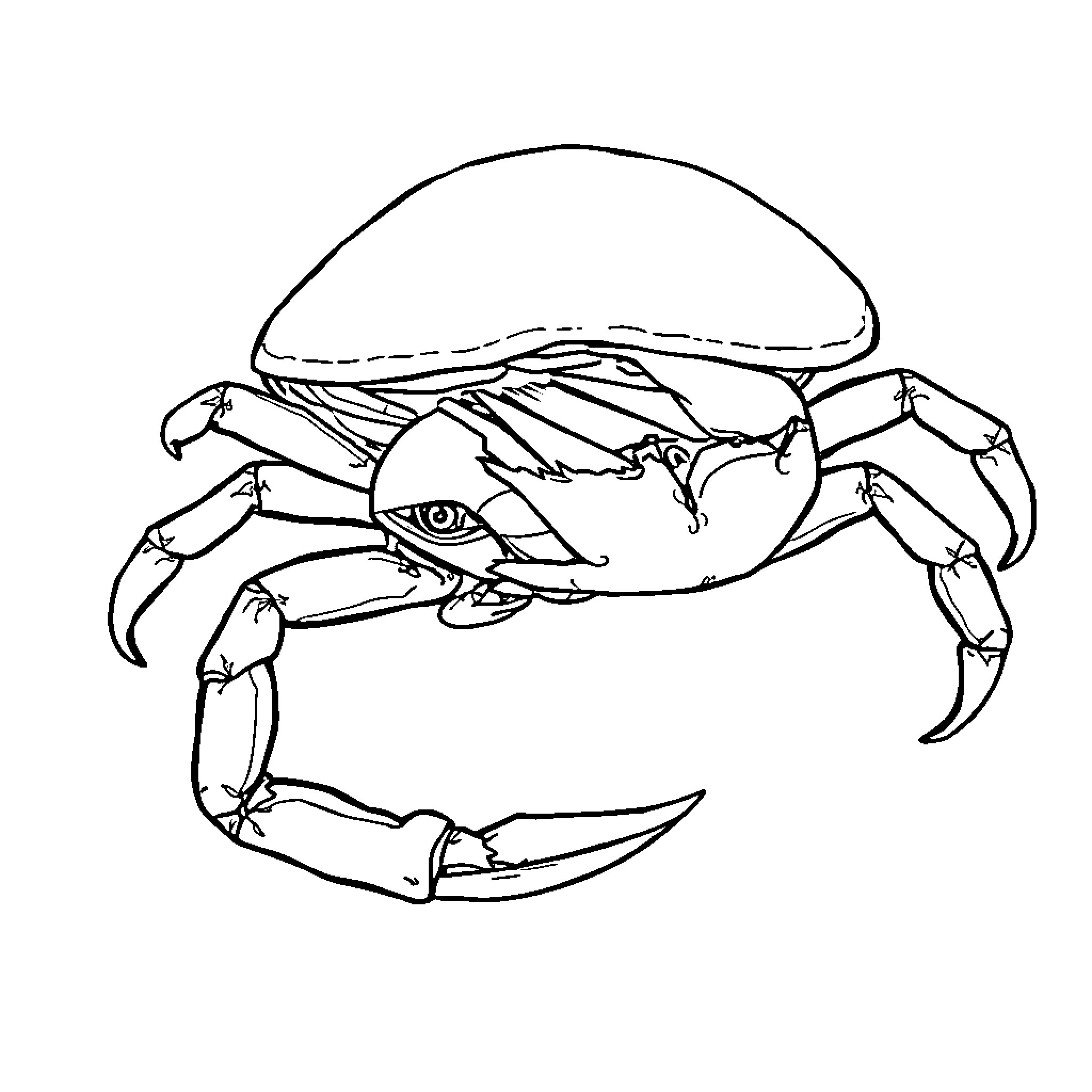 Crab crawling with outstretched claws Coloring Page (free black-and-white line drawing printable PDF for all, from beginners to advanced learners, including children, teens, adults, and seniors)