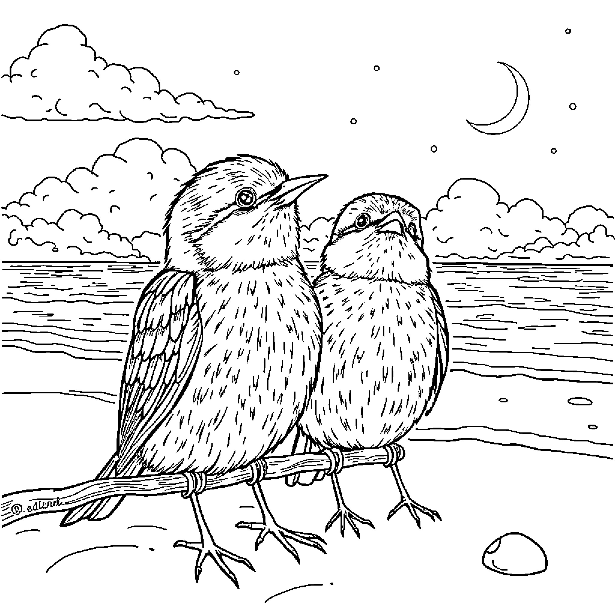 Animal birds perching on branch near lake at night Coloring Page (free black-and-white line drawing printable PDF for all, from beginners to advanced learners, including children, teens, adults, and seniors)
